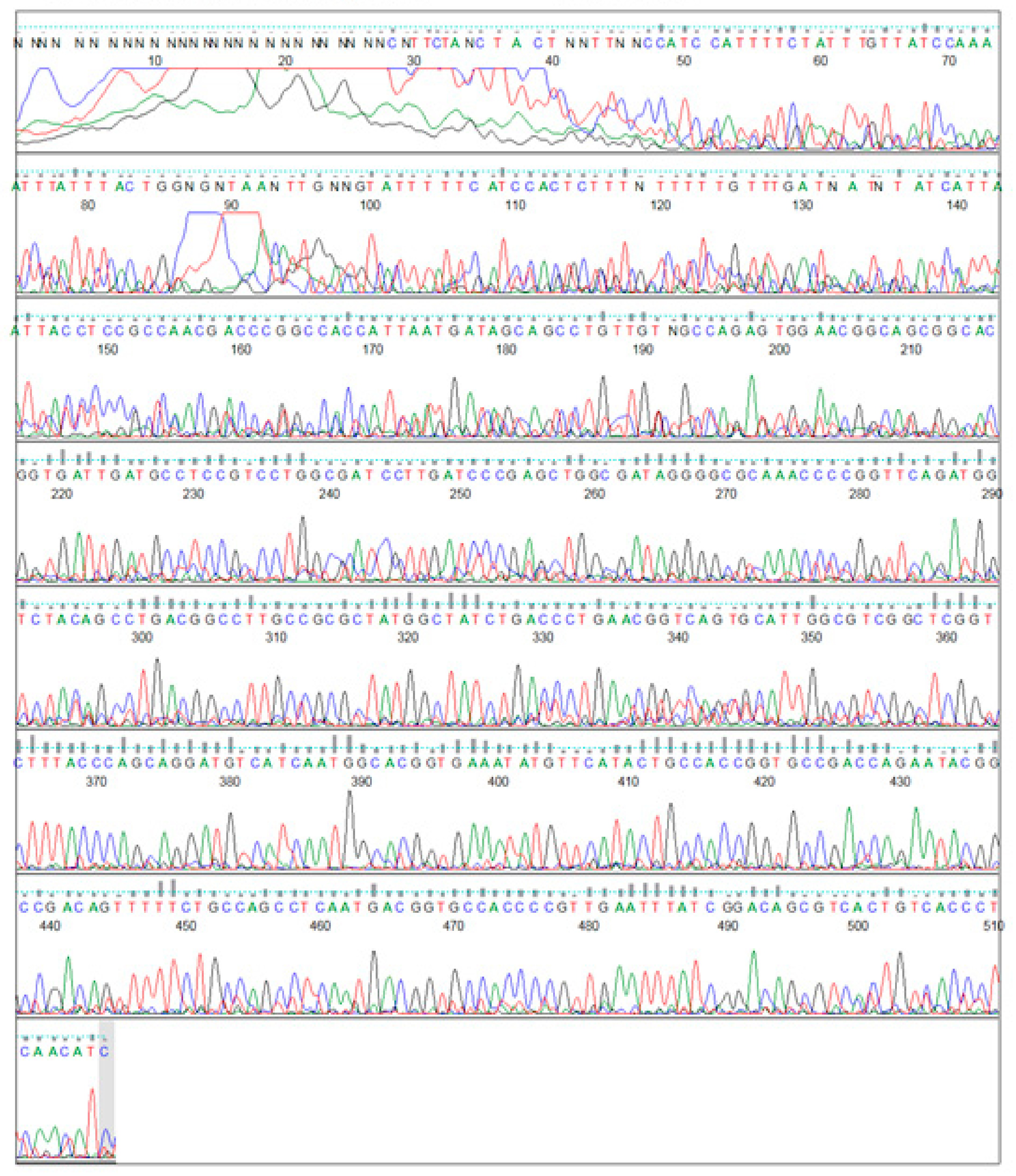 Plants 09 01285 g004