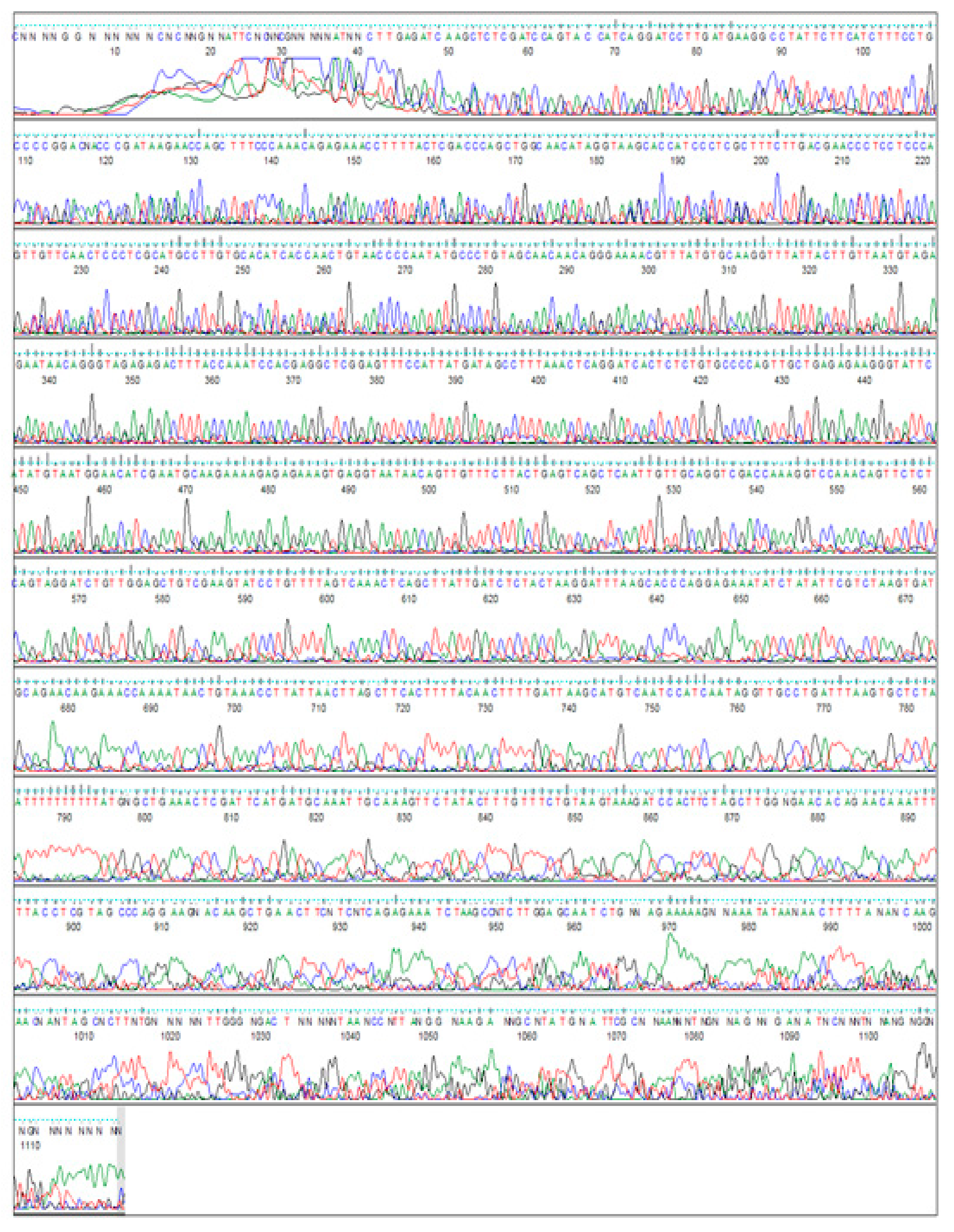 Plants 09 01285 g005