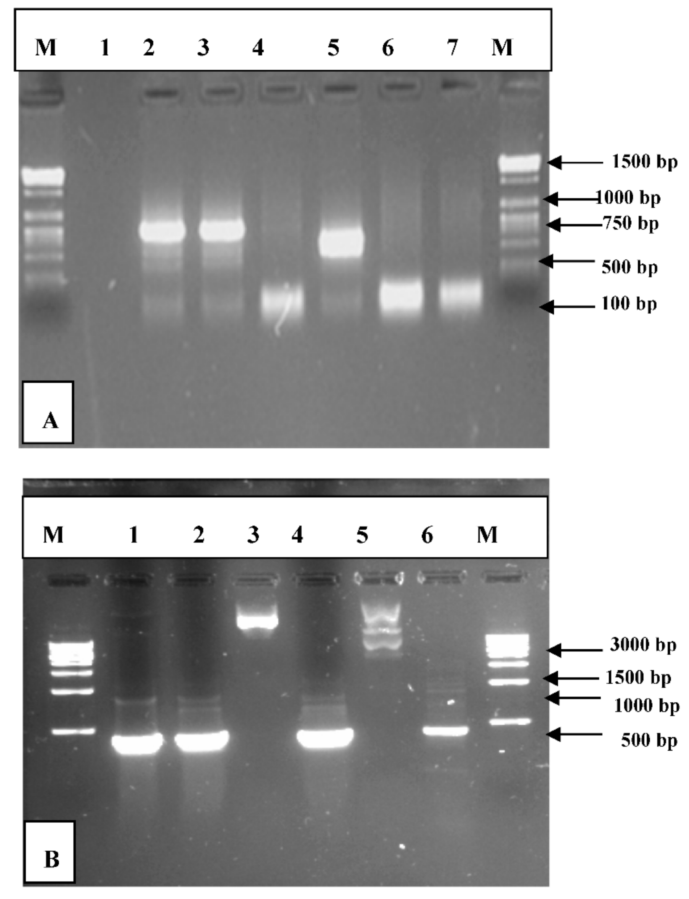 Plants 09 01285 g008