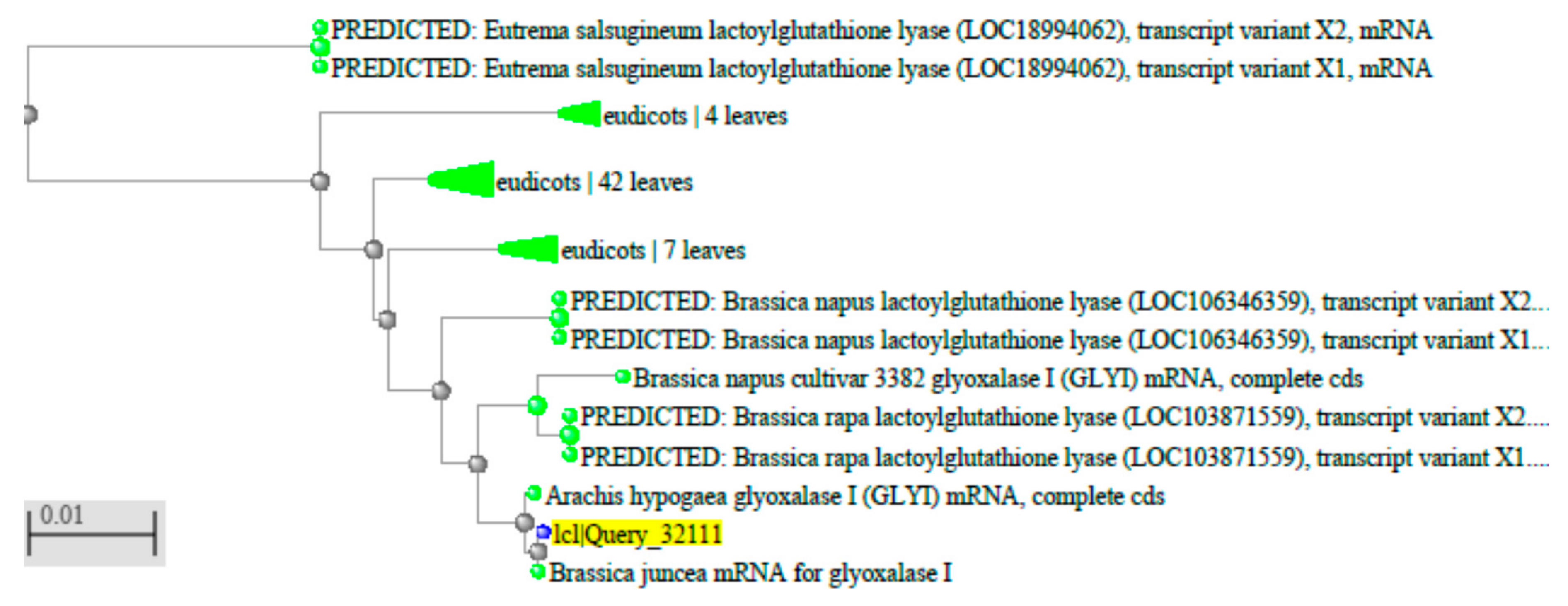 Plants 09 01285 g010