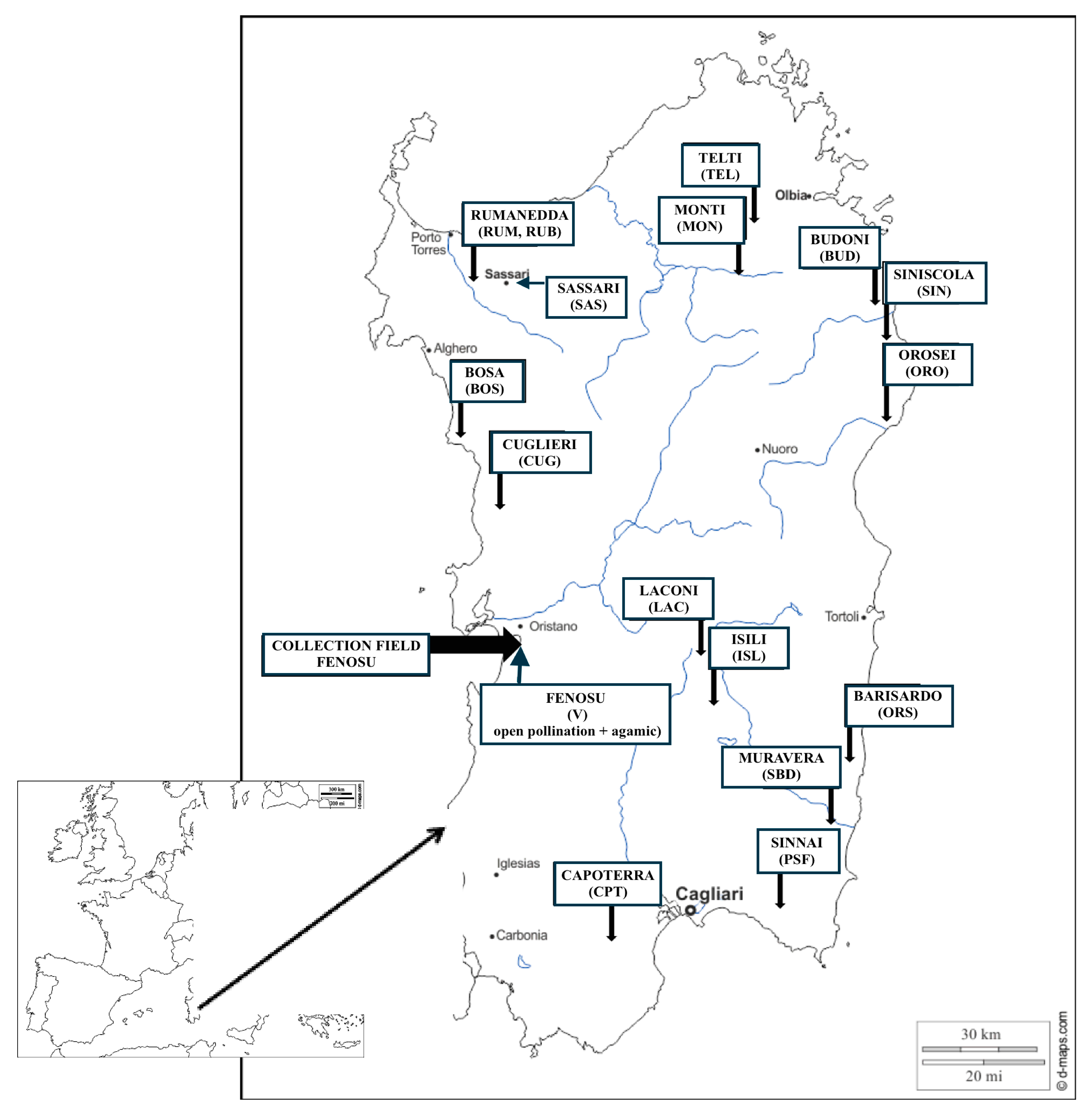 Plants 09 01288 g001