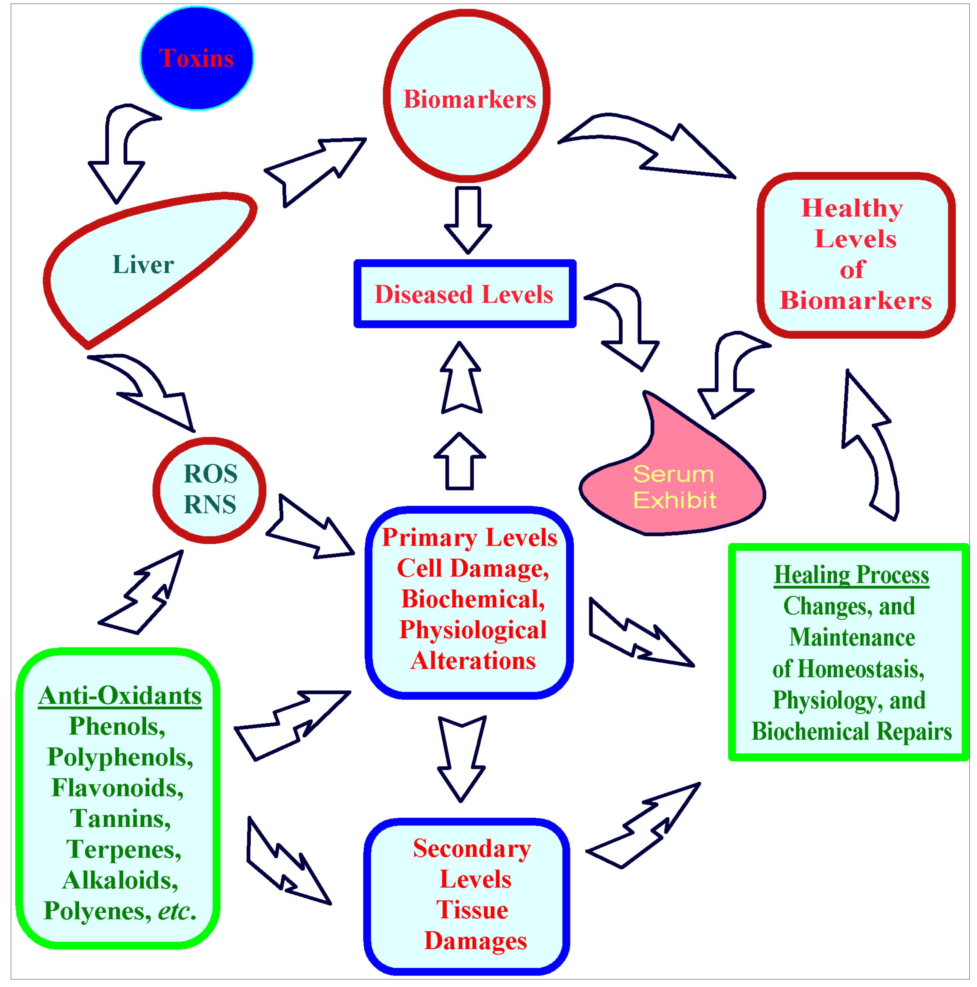 Plants 09 01291 g005 Plants 09 01291 g005