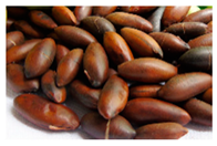 Plants 09 01299 i004 Plants 09 01299 i004