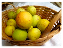 Plants 09 01299 i005 Plants 09 01299 i005