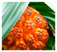 Plants 09 01299 i018 Plants 09 01299 i018