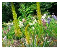 Plants 09 01299 i020 Plants 09 01299 i020