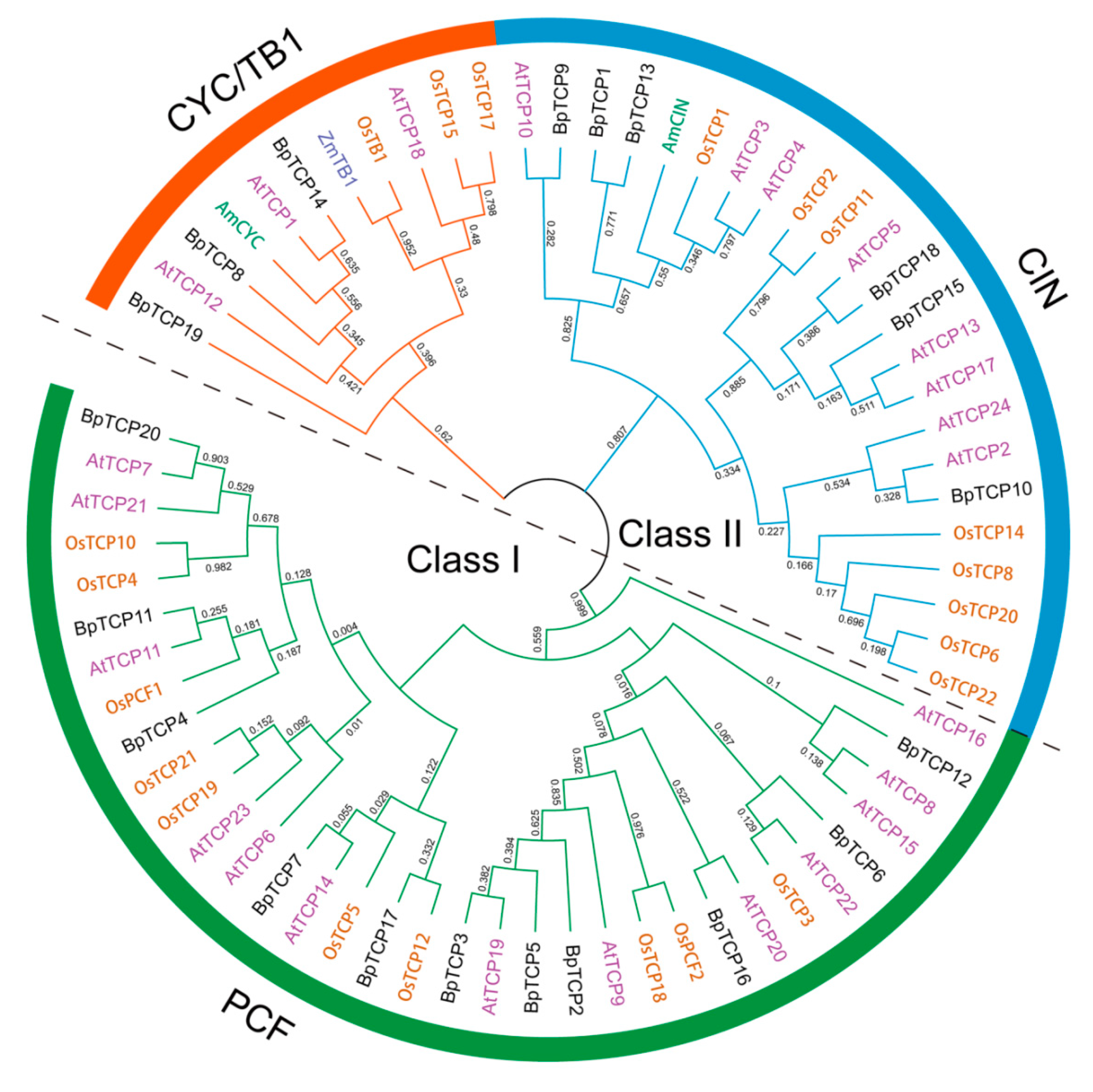 Plants 09 01301 g001 Plants 09 01301 g001