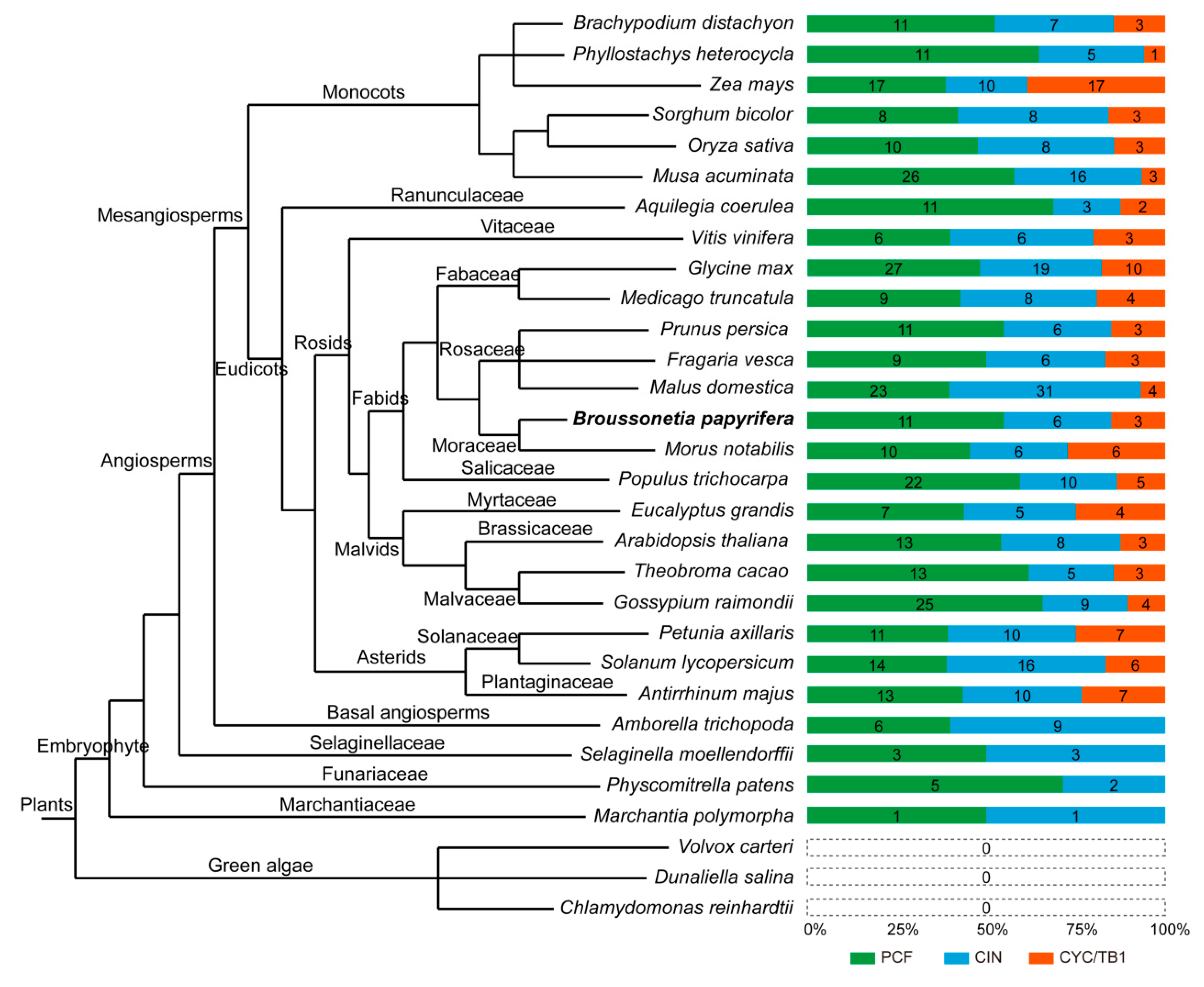 Plants 09 01301 g002 Plants 09 01301 g002