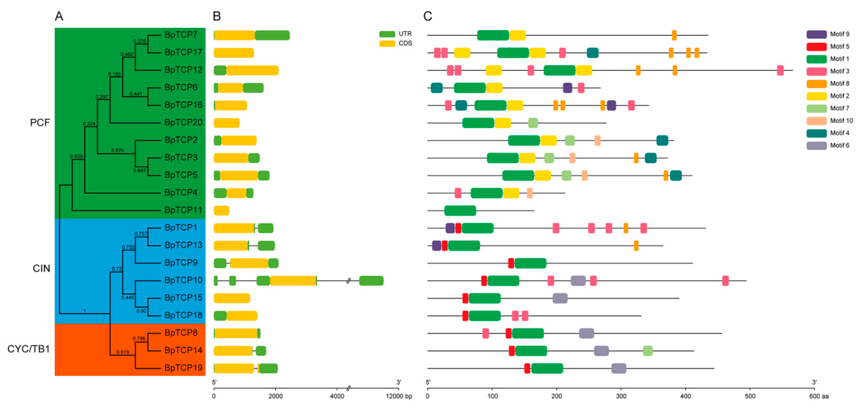 Plants 09 01301 g003 Plants 09 01301 g003