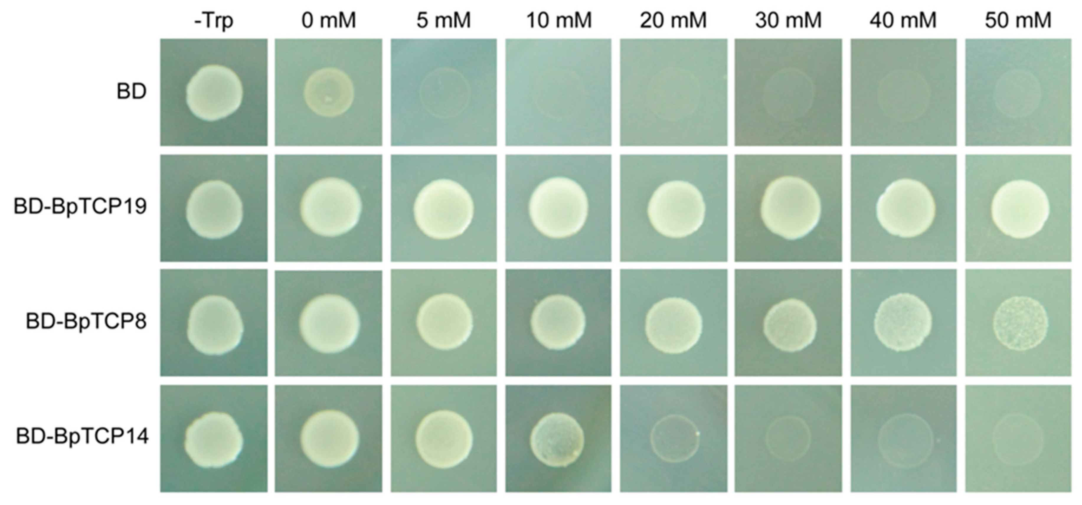 Plants 09 01301 g007 Plants 09 01301 g007