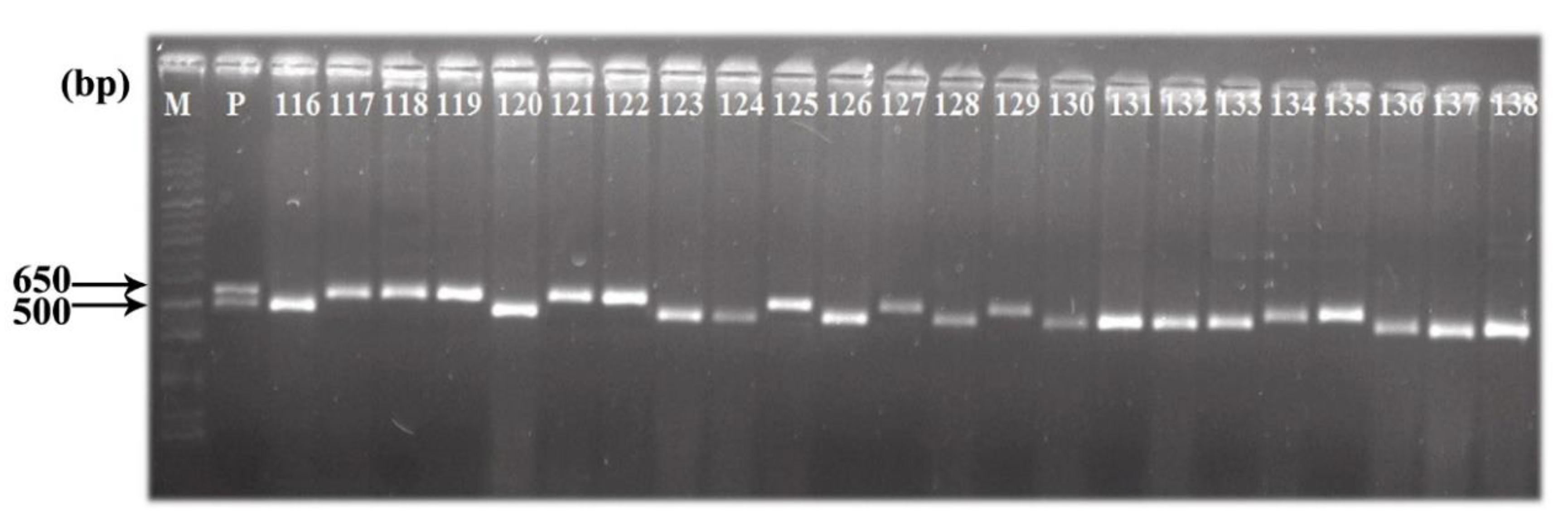 Plants 09 01306 g002 Plants 09 01306 g002