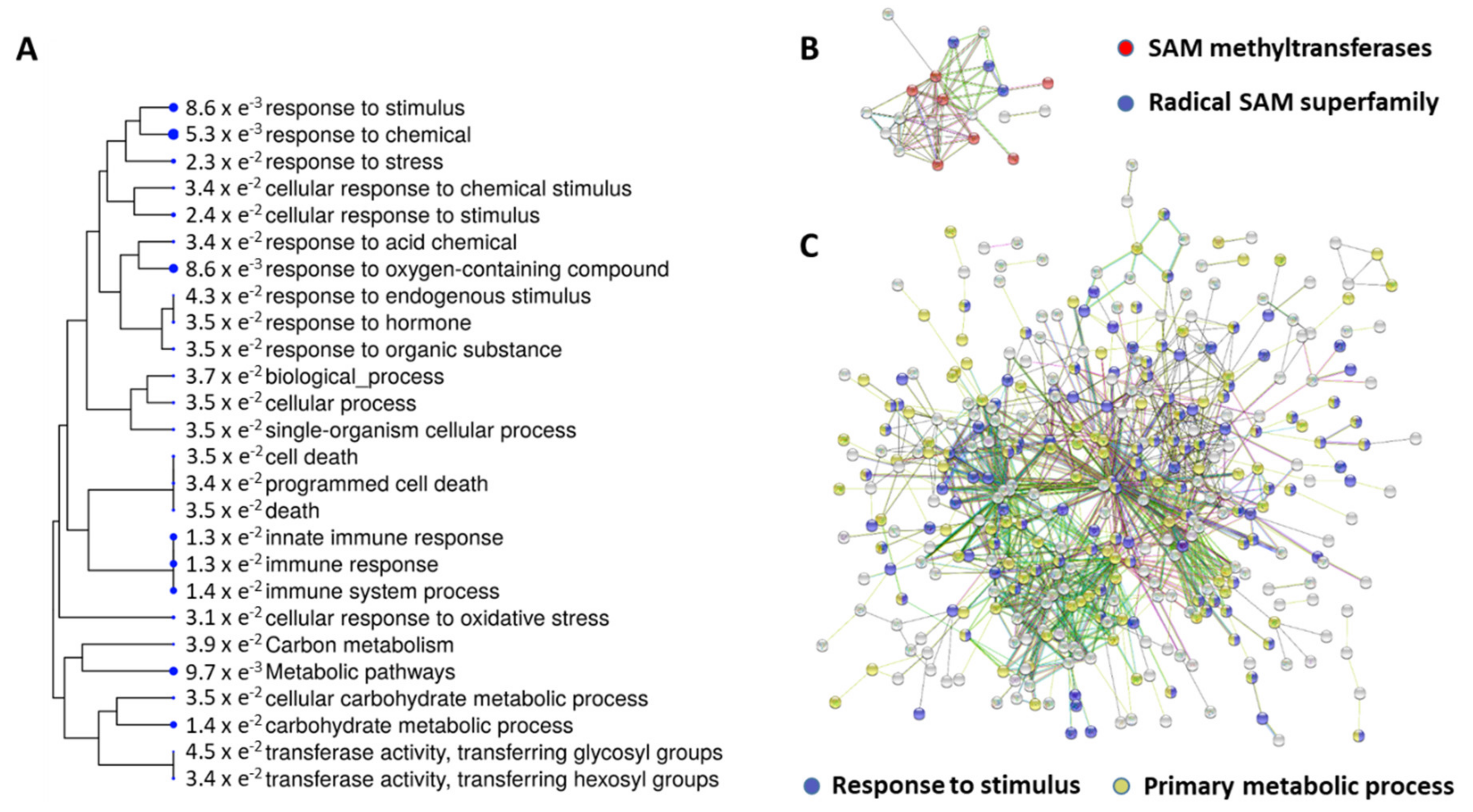 Plants 09 01308 g001