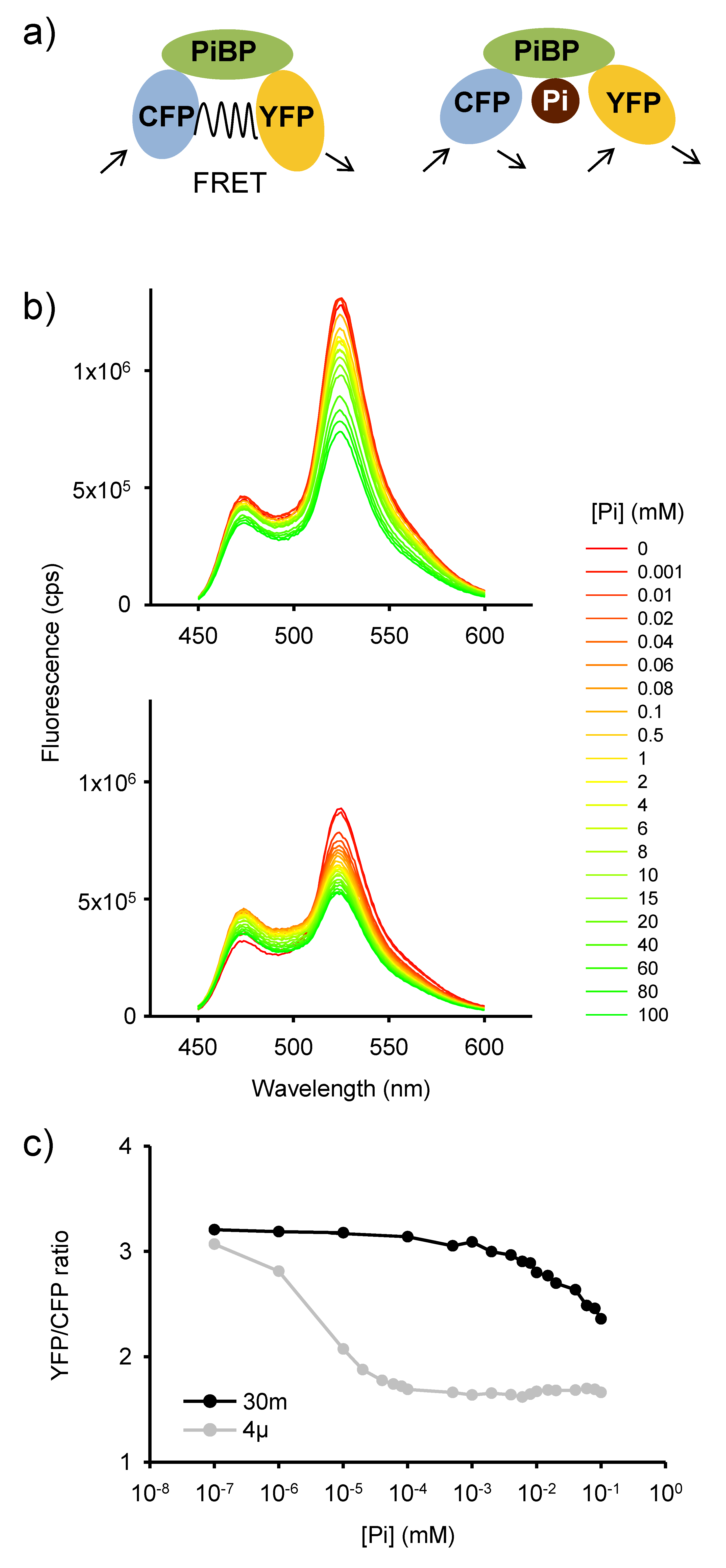 Plants 09 01310 g001 Plants 09 01310 g001