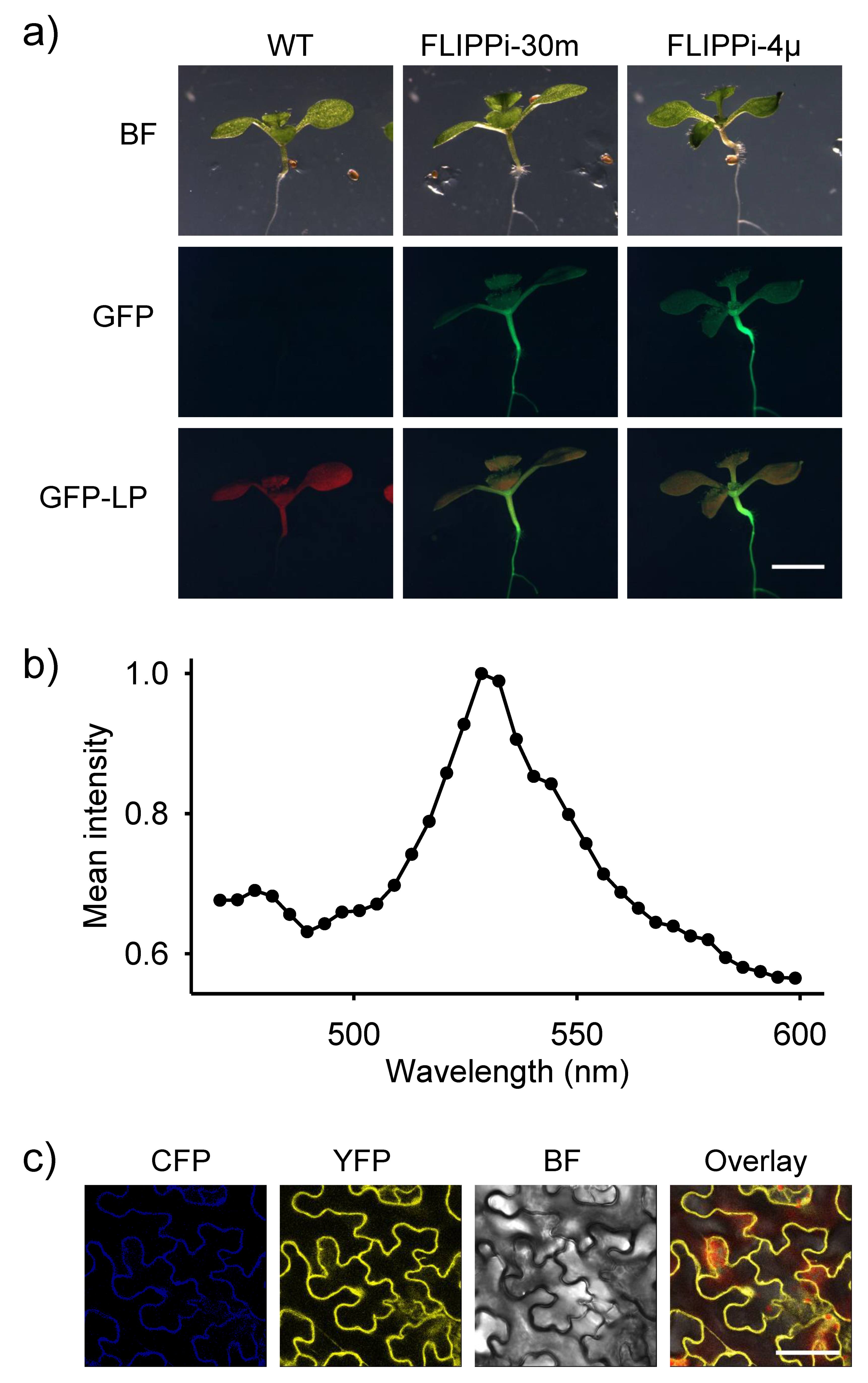 Plants 09 01310 g002 Plants 09 01310 g002