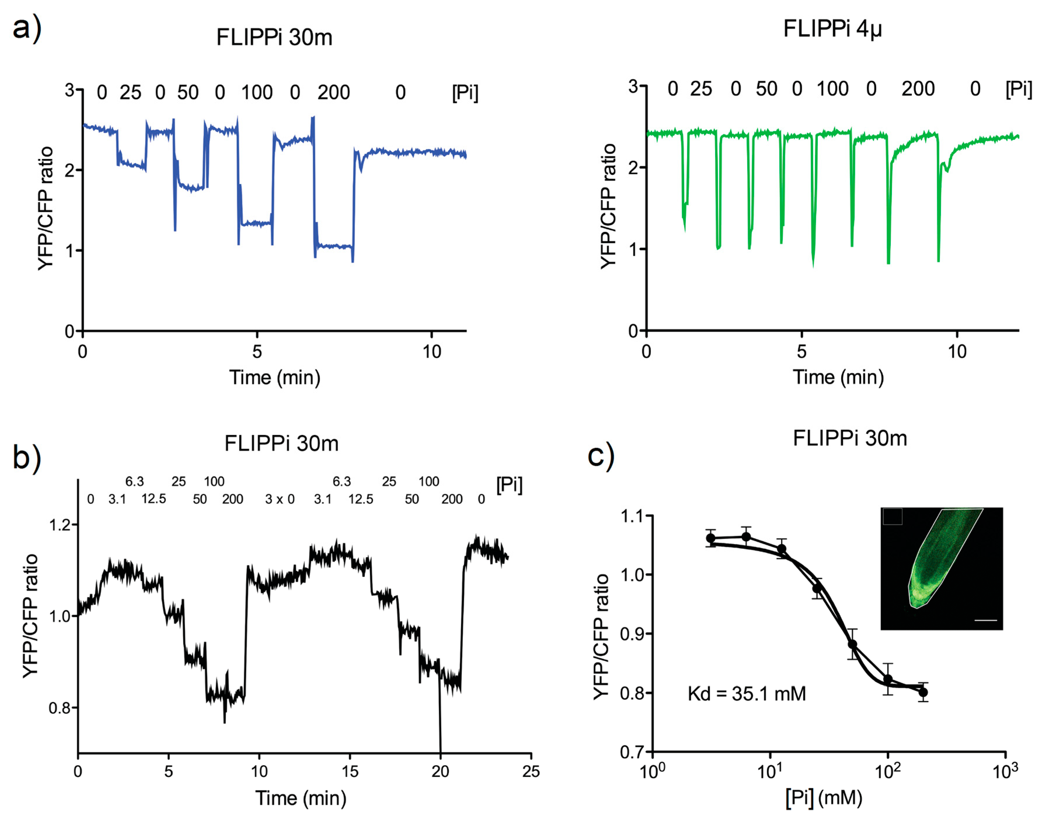 Plants 09 01310 g003 Plants 09 01310 g003
