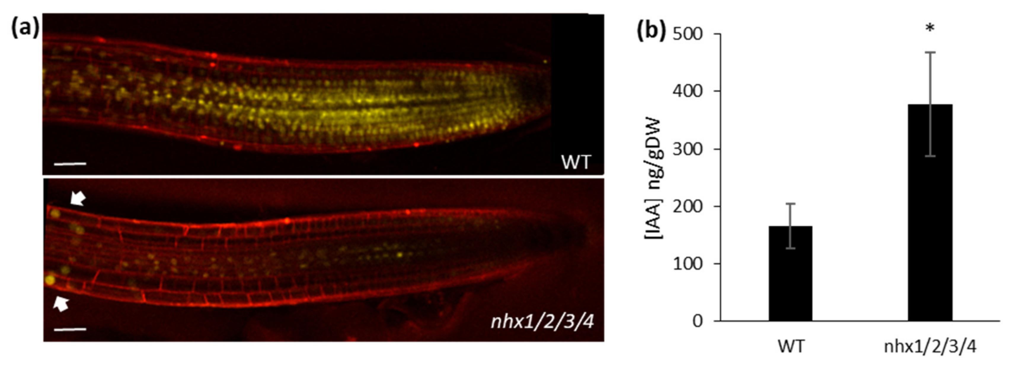 Plants 09 01311 g005 Plants 09 01311 g005