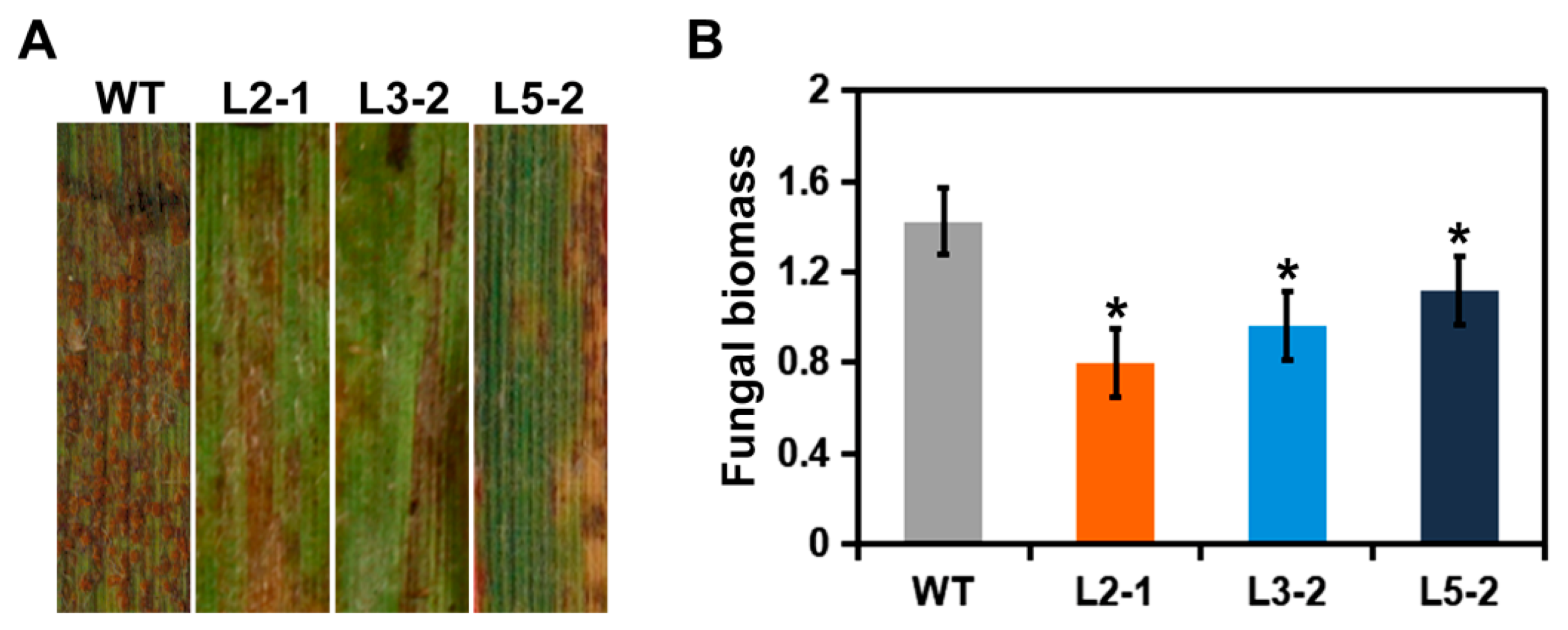 Plants 09 01316 g002