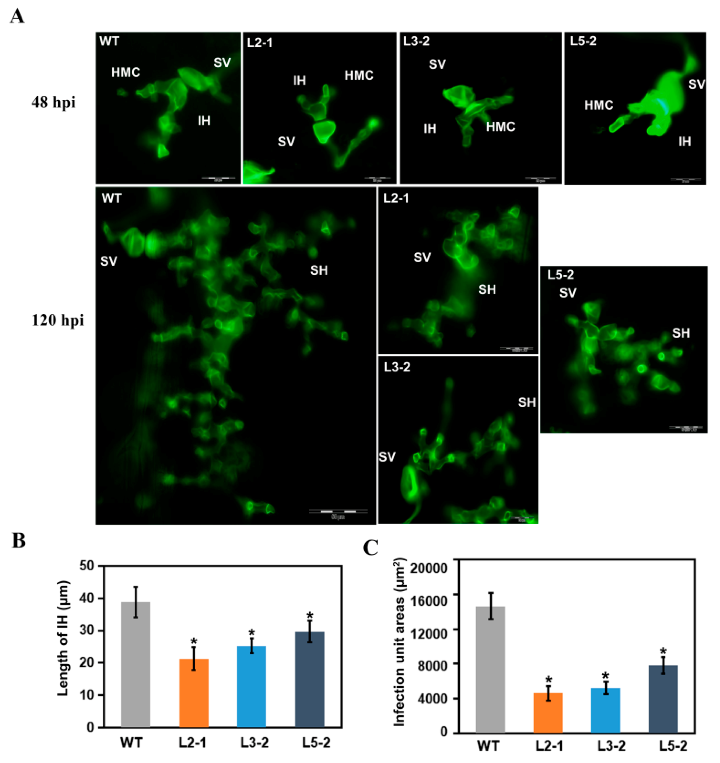 Plants 09 01316 g003