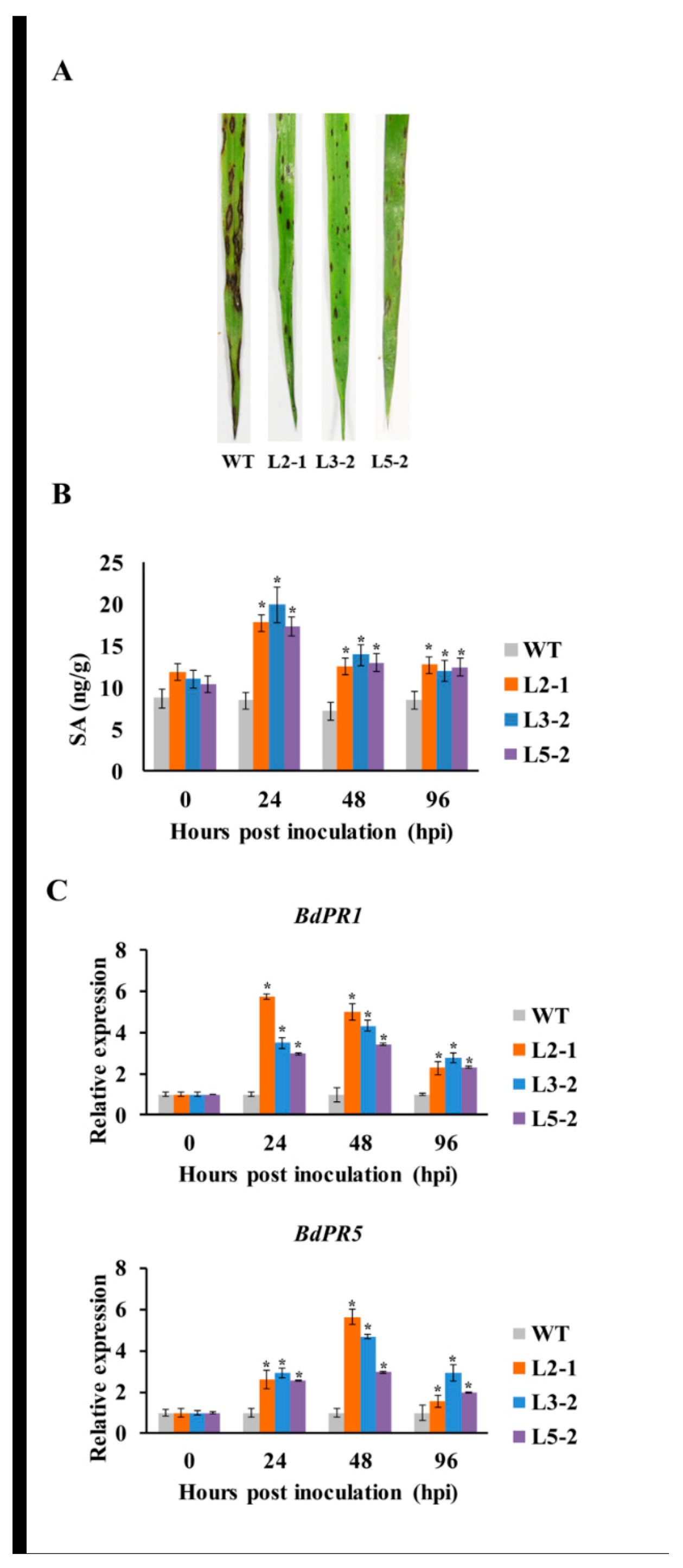 Plants 09 01316 g005