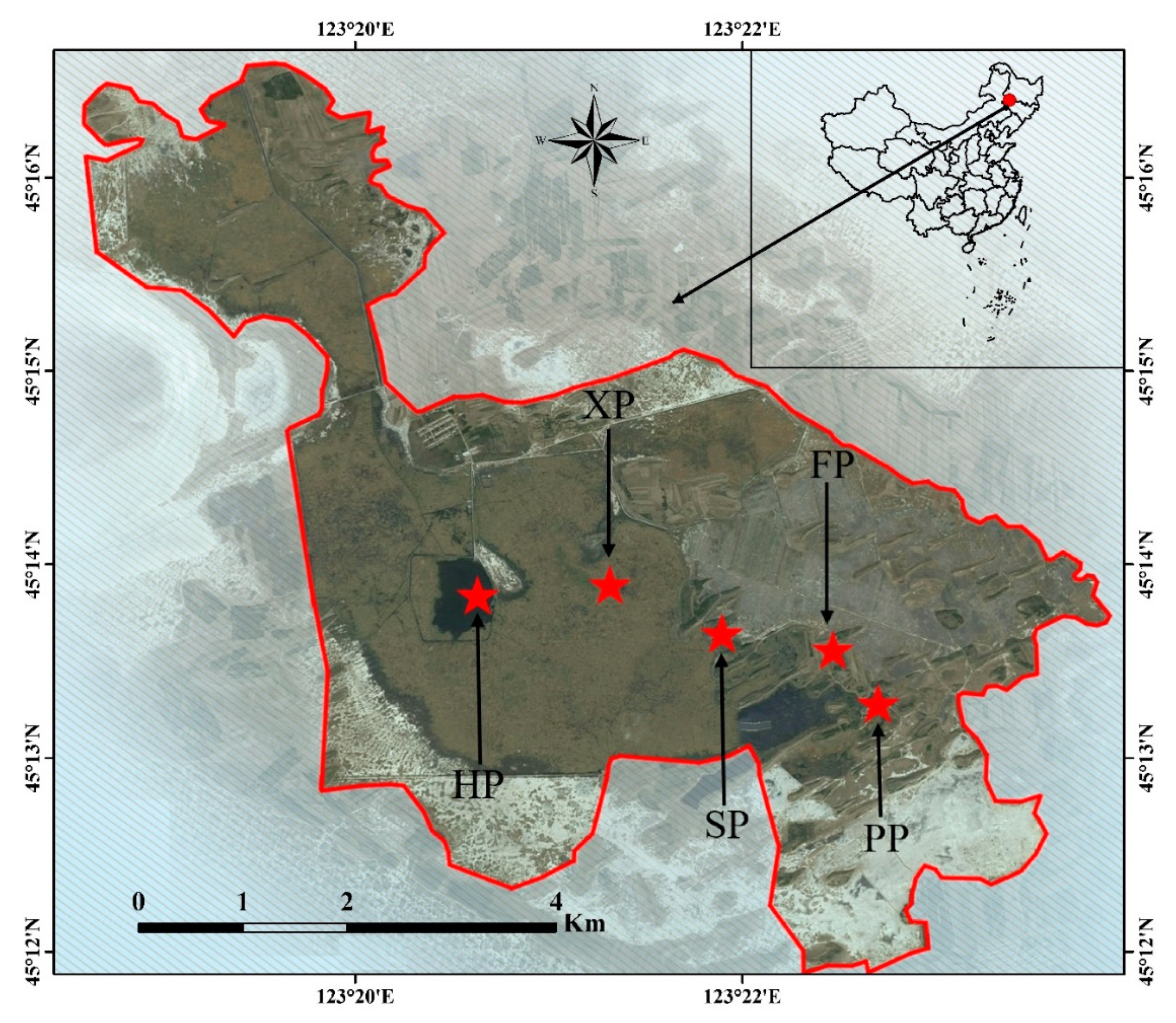 Plants 09 01317 g007