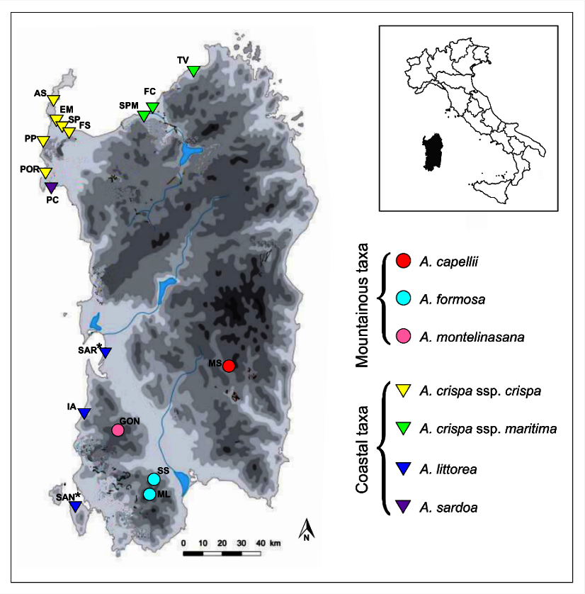 Plants 09 01321 g004
