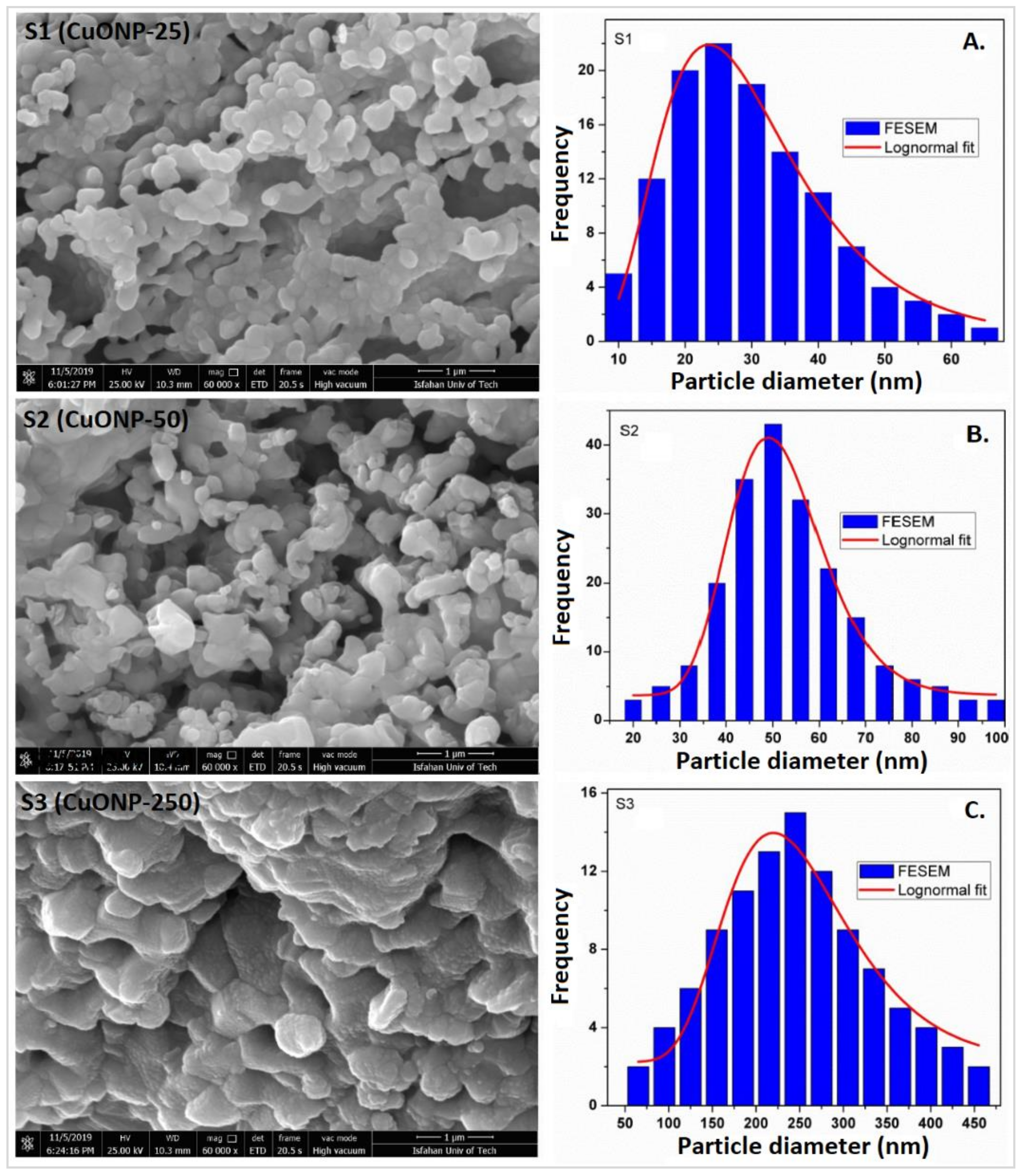 Plants 09 01326 g001