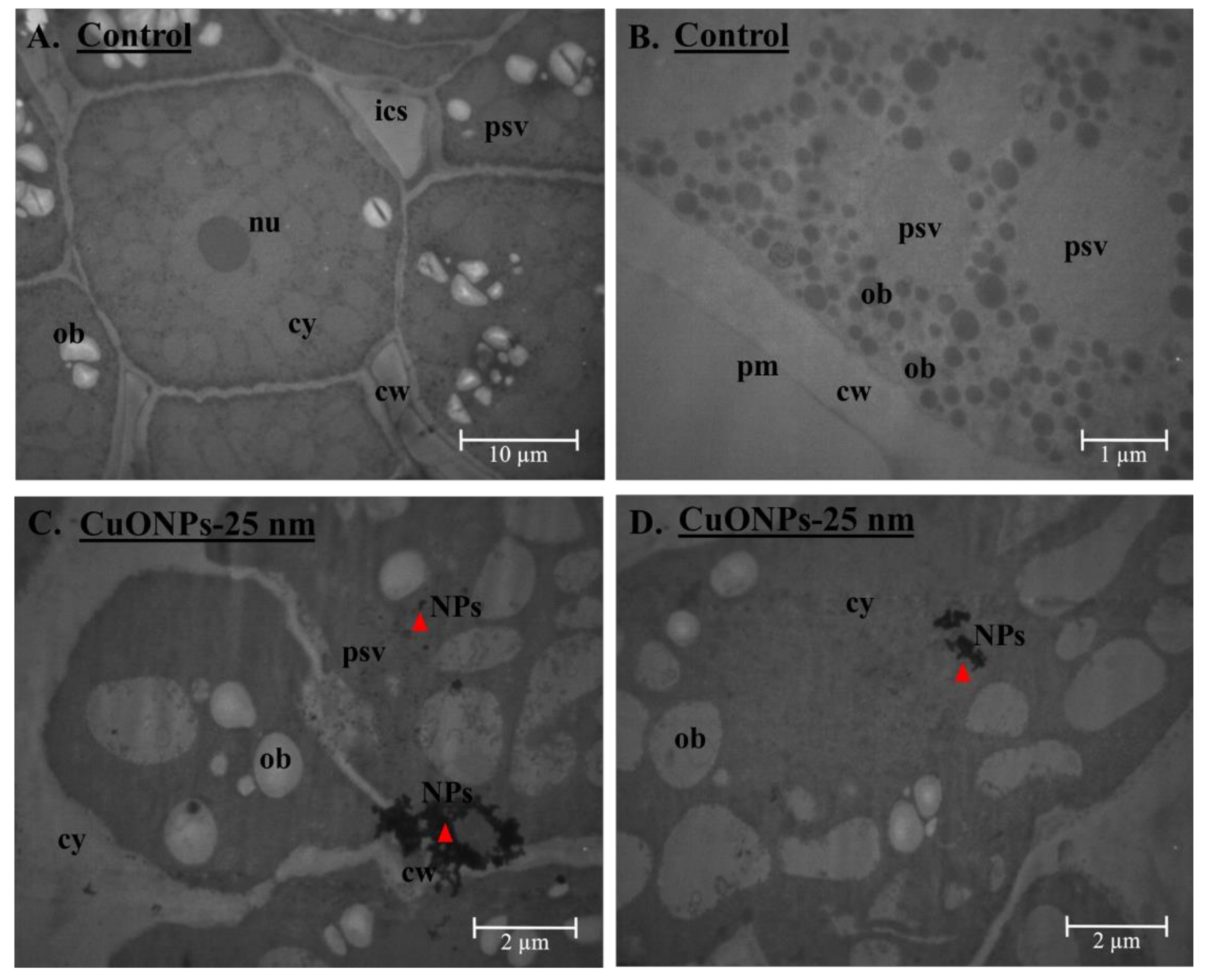 Plants 09 01326 g006