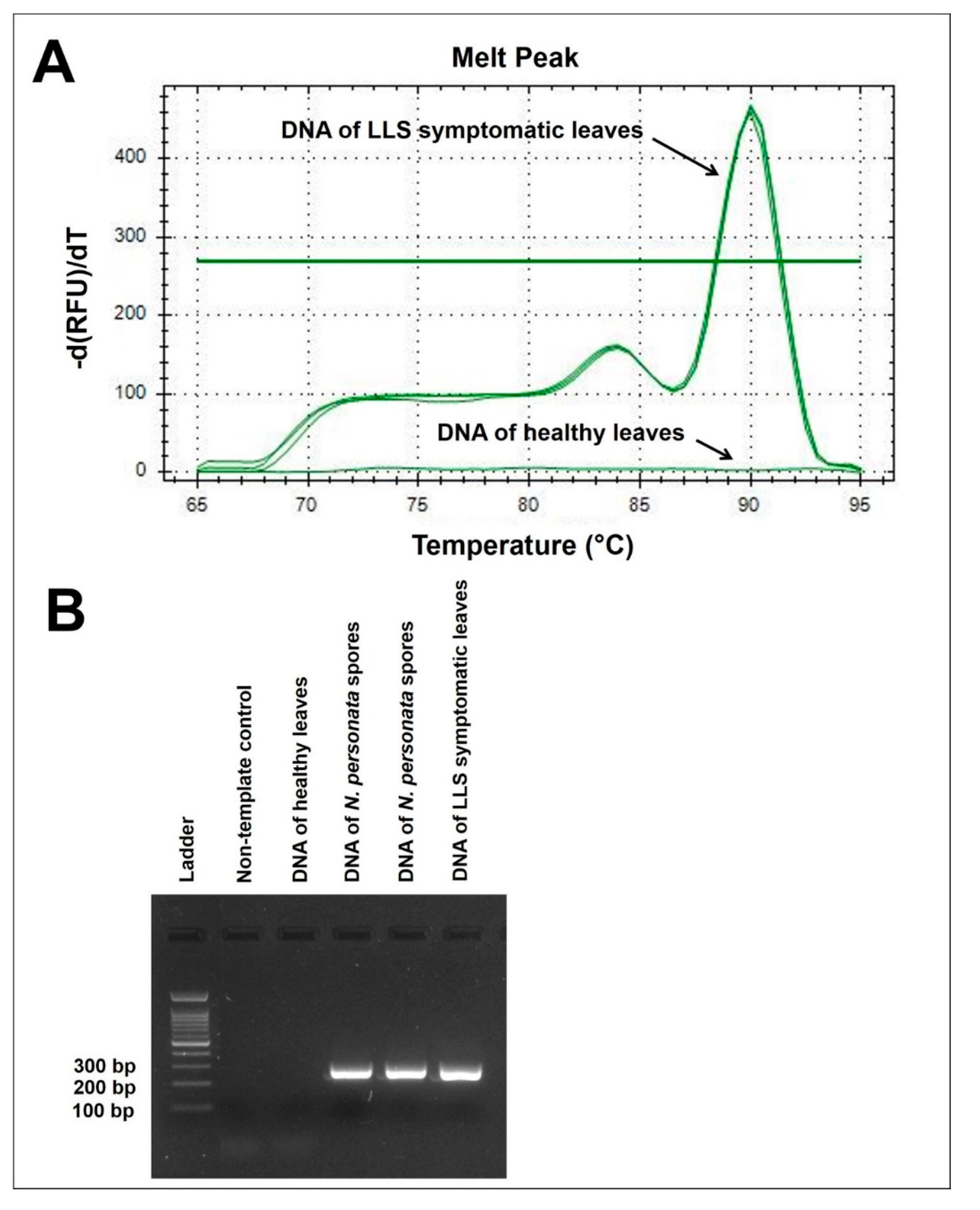 Plants 09 01327 g001