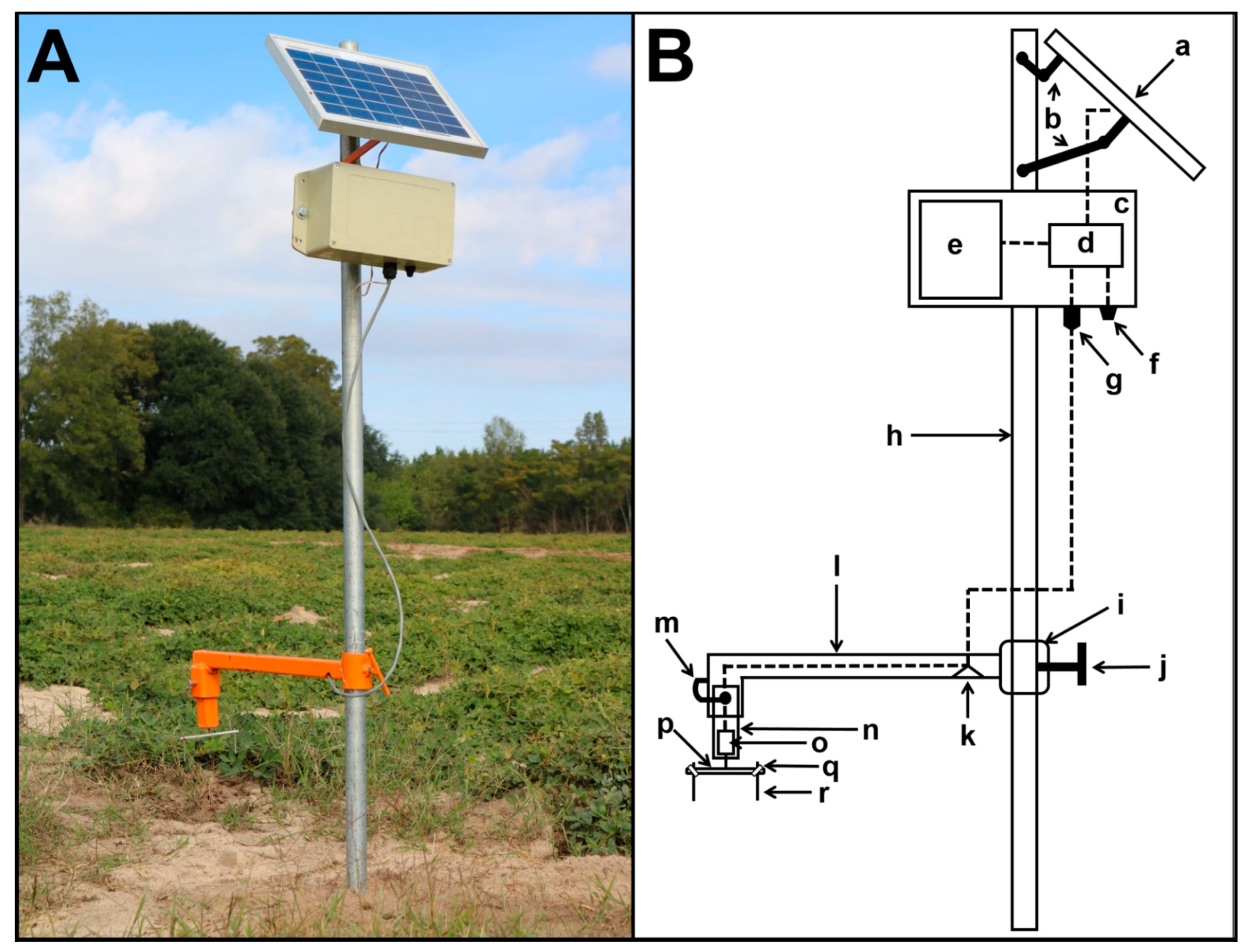 Plants 09 01327 g004