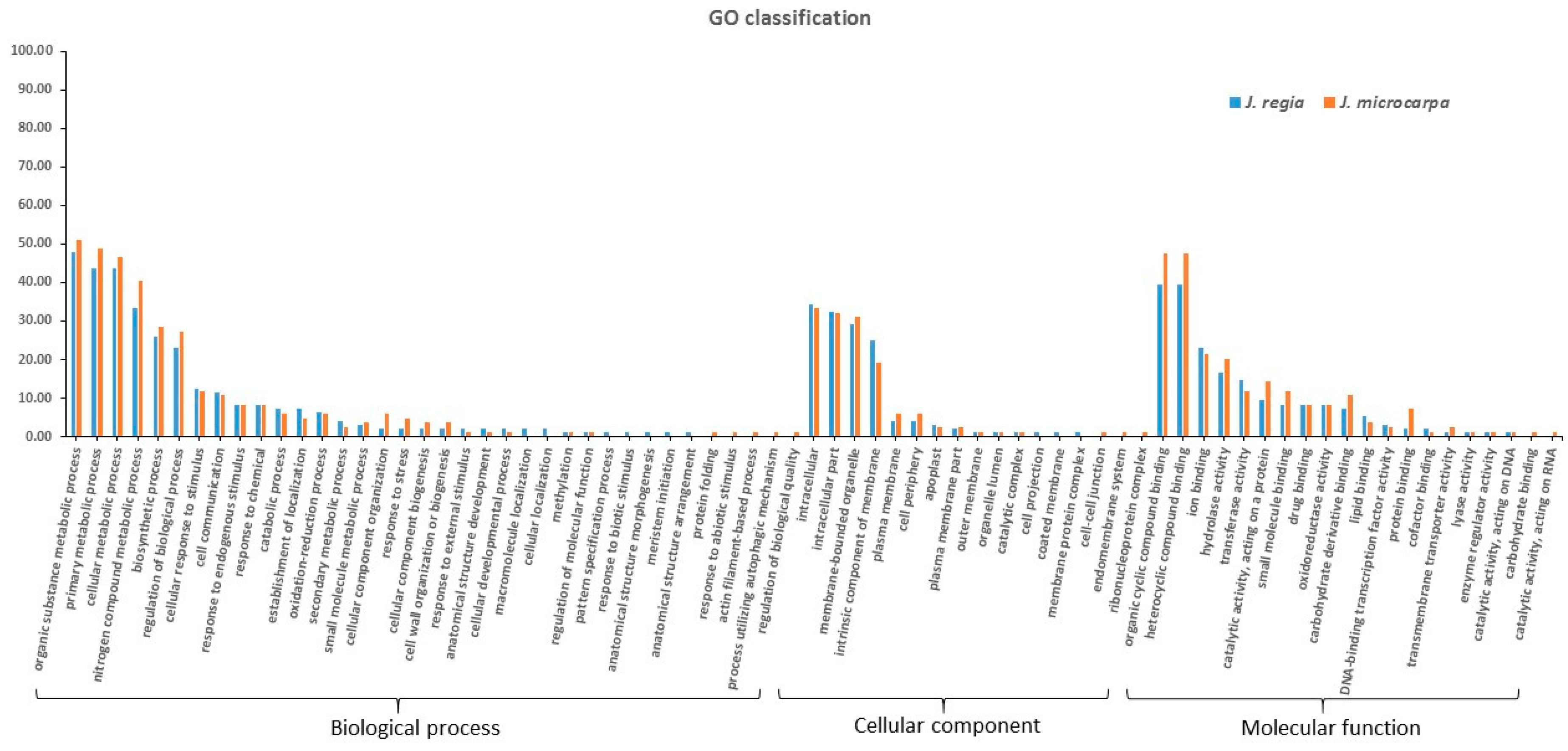 Plants 09 01330 g001