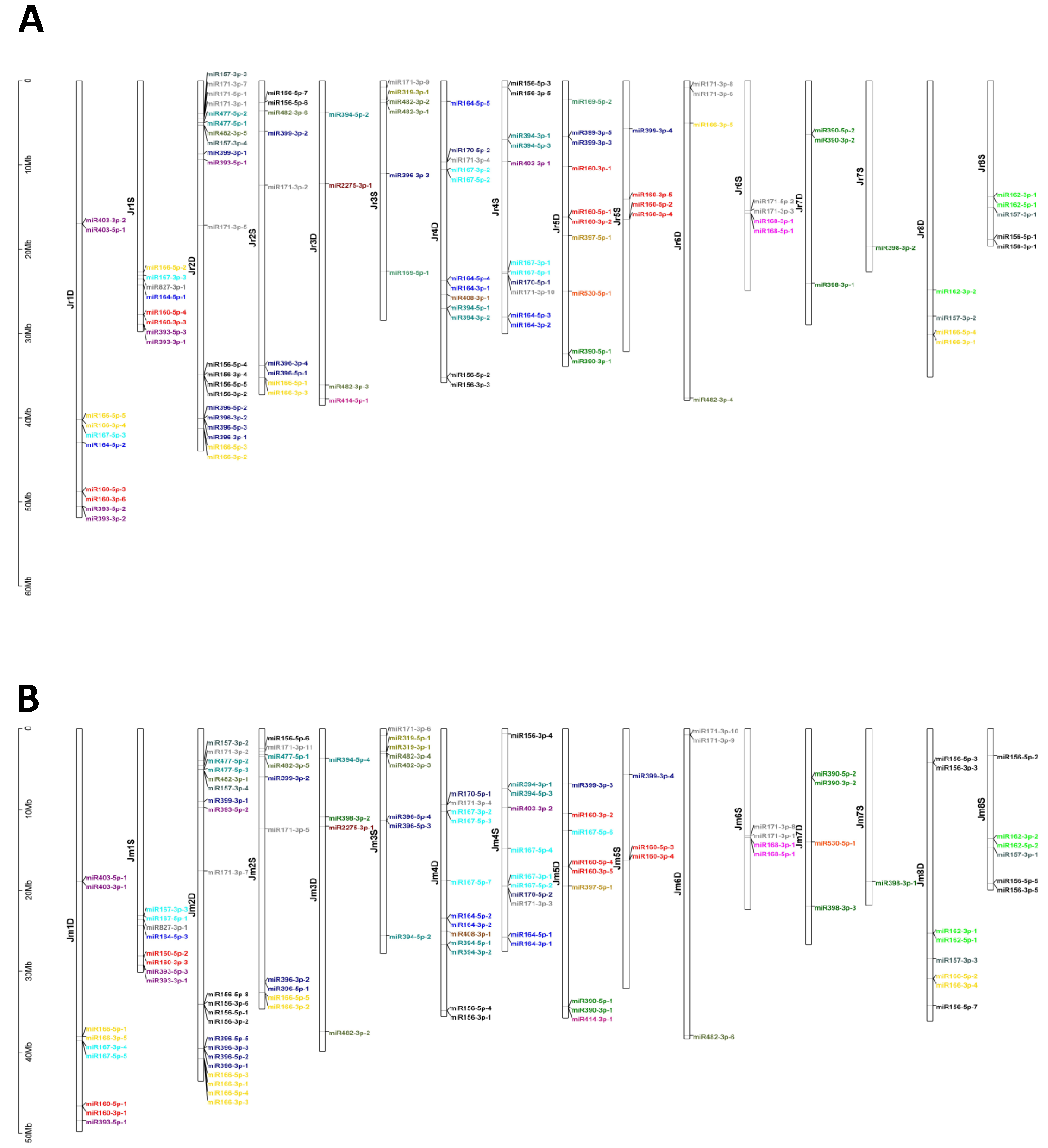 Plants 09 01330 g002