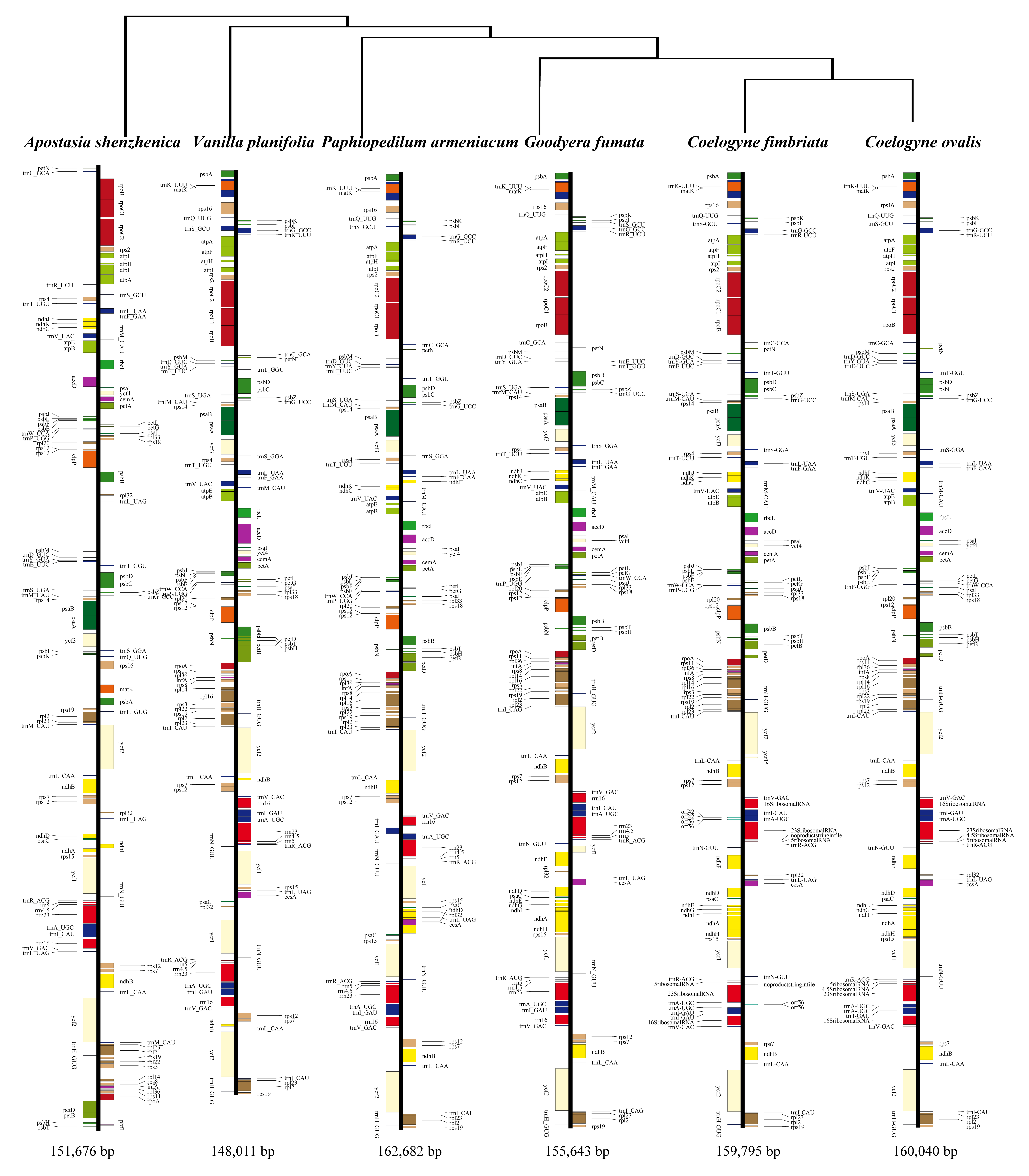 Plants 09 01332 g003 Plants 09 01332 g003