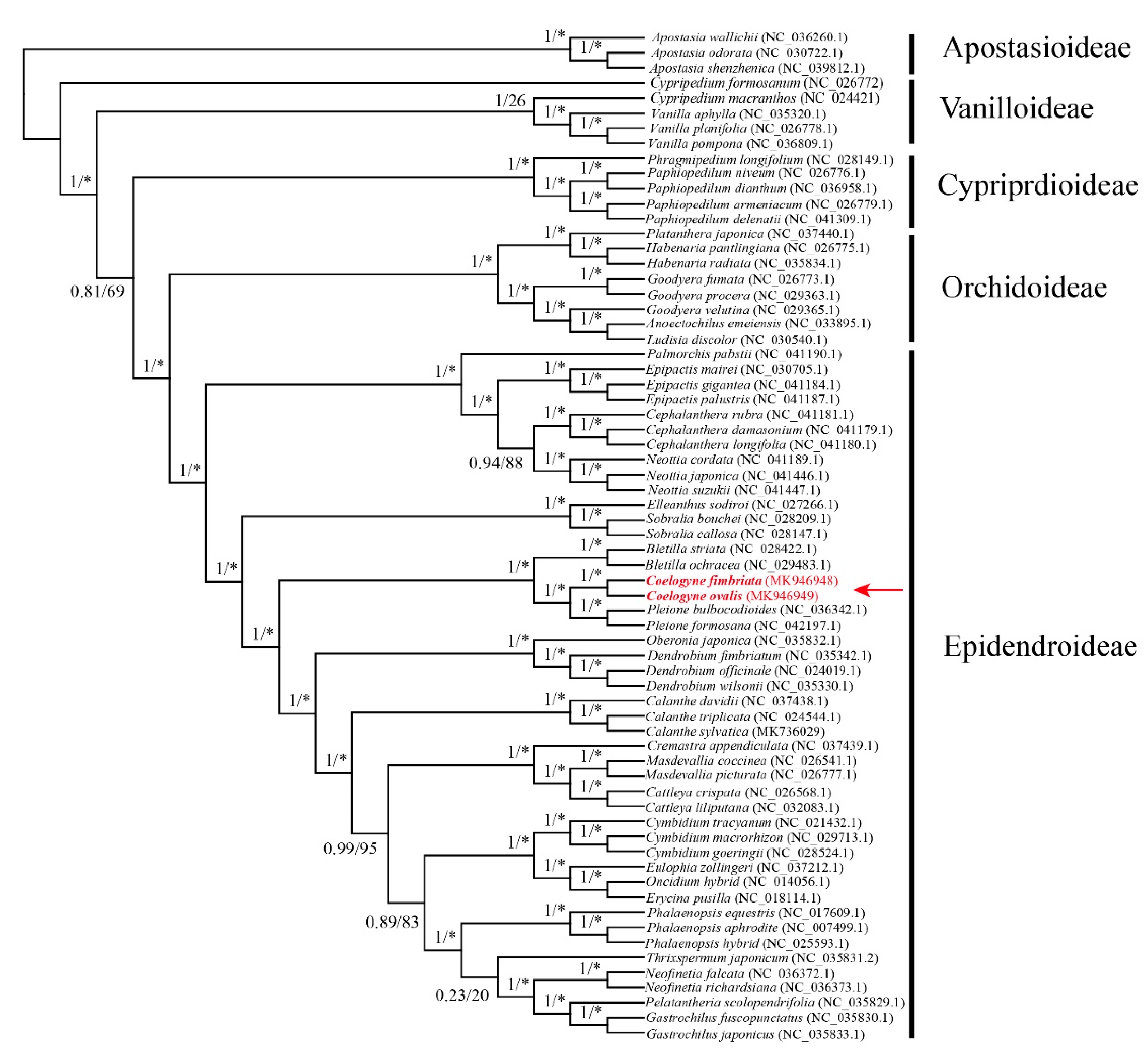 Plants 09 01332 g005 Plants 09 01332 g005