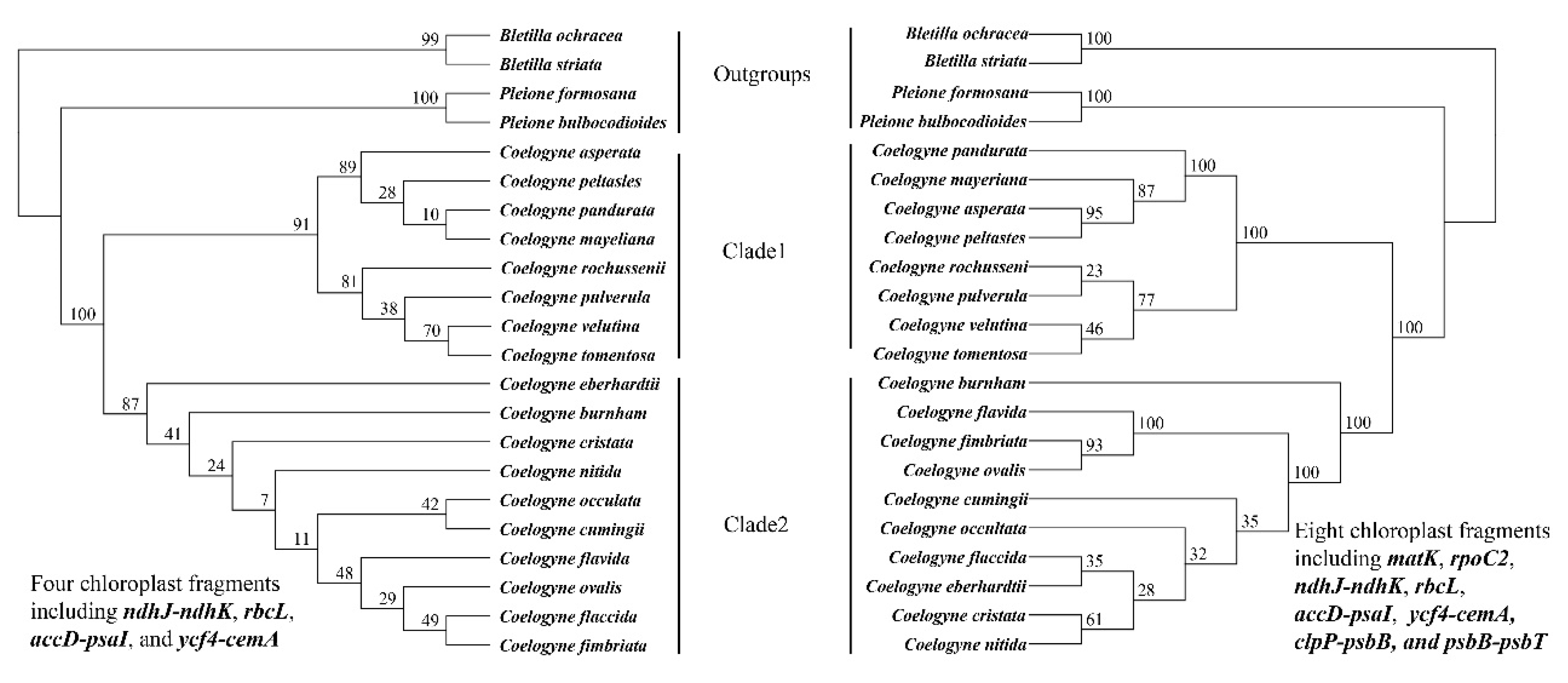 Plants 09 01332 g006 Plants 09 01332 g006