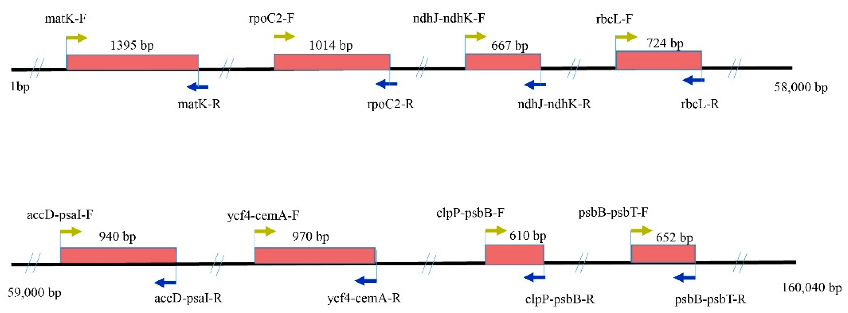 Plants 09 01332 g007 Plants 09 01332 g007