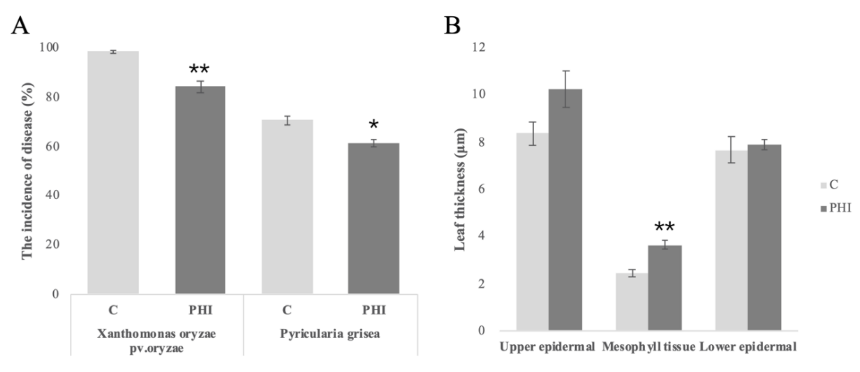 Plants 09 01334 g001