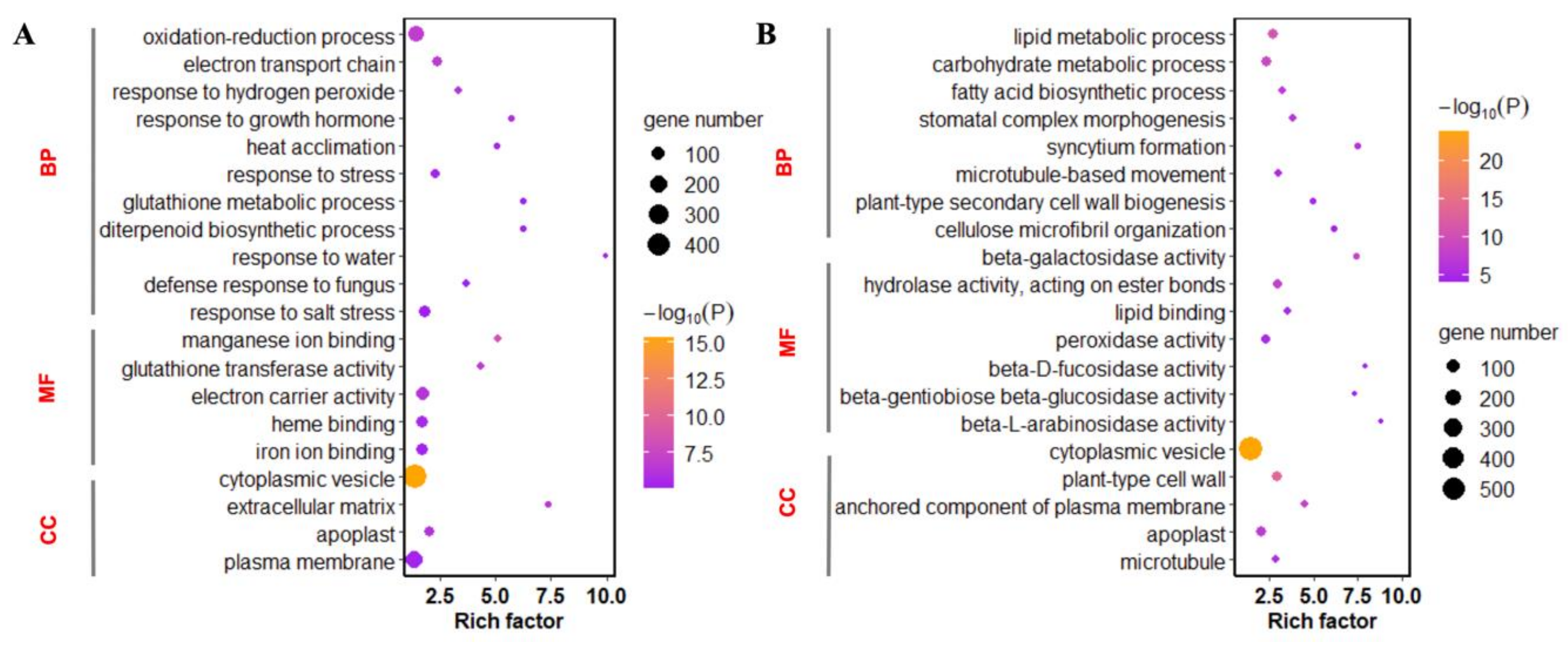 Plants 09 01334 g003