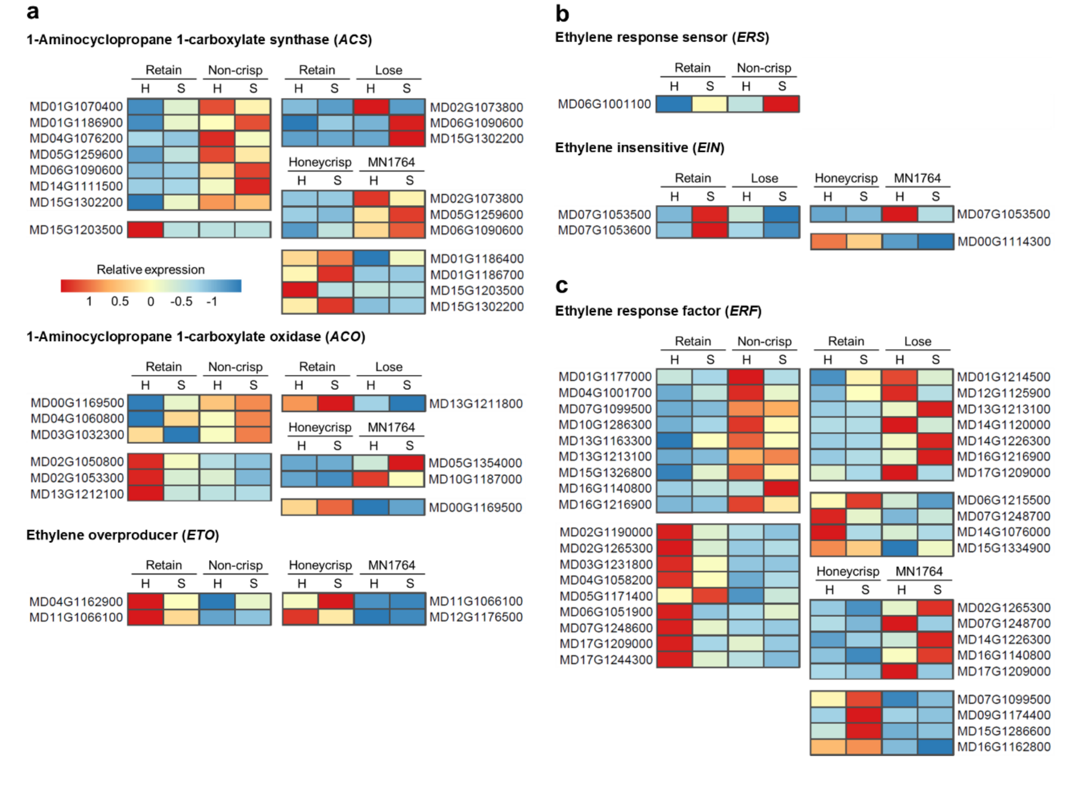 Plants 09 01335 g006 Plants 09 01335 g006