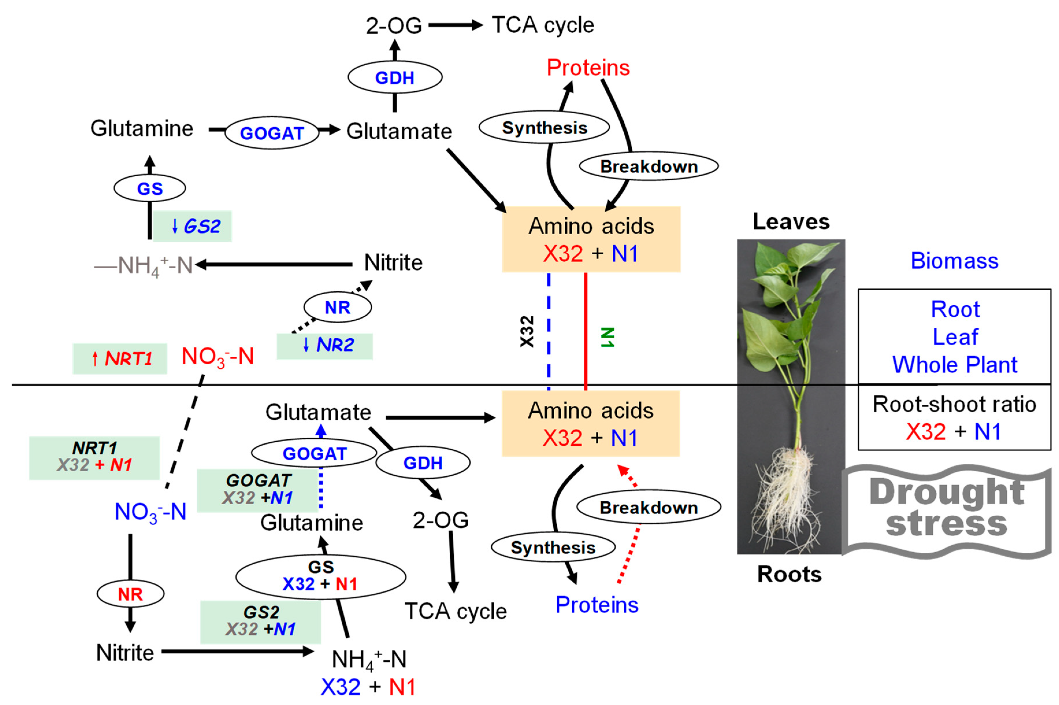 Plants 09 01341 g014