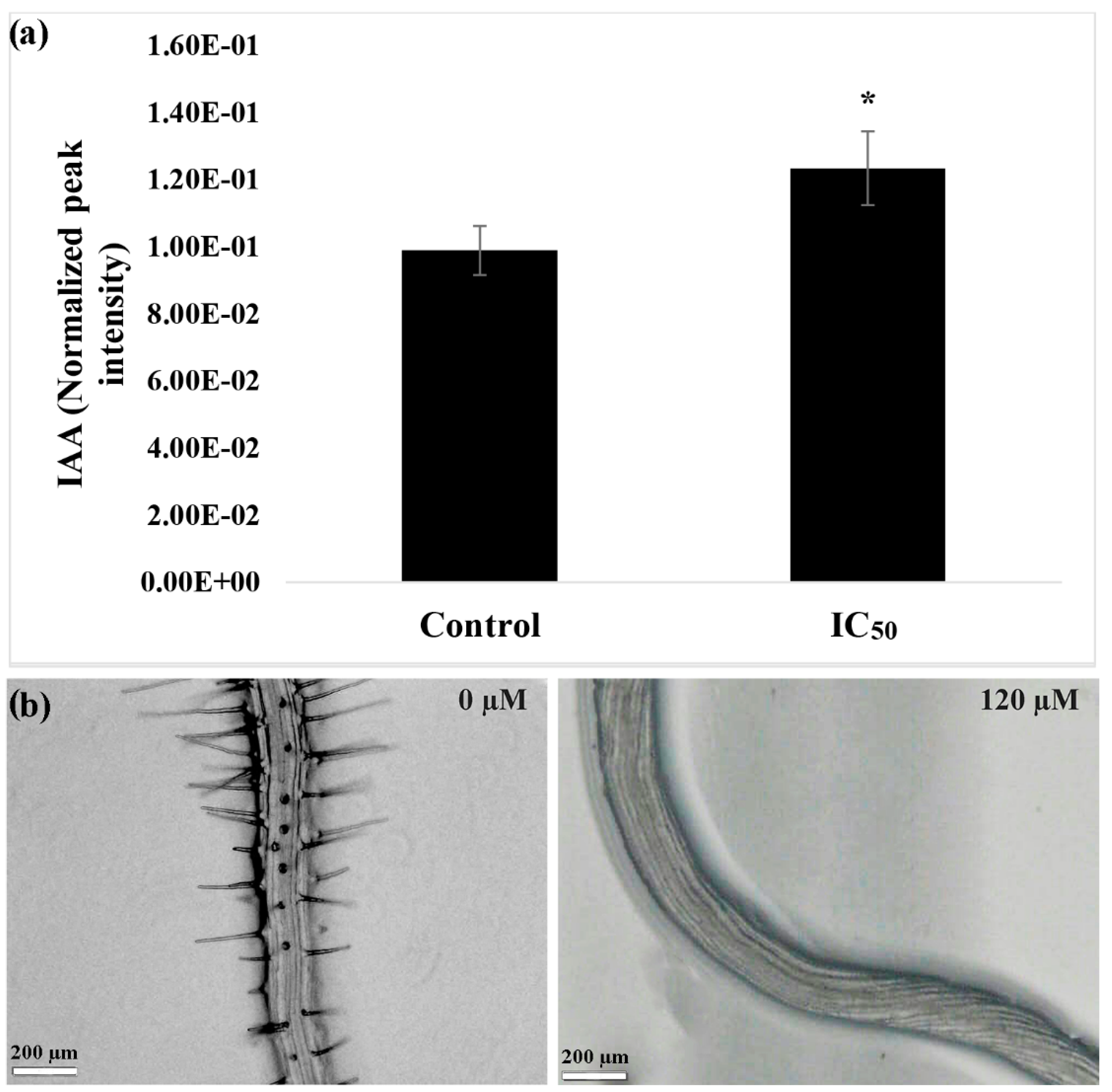 Plants 09 01347 g002