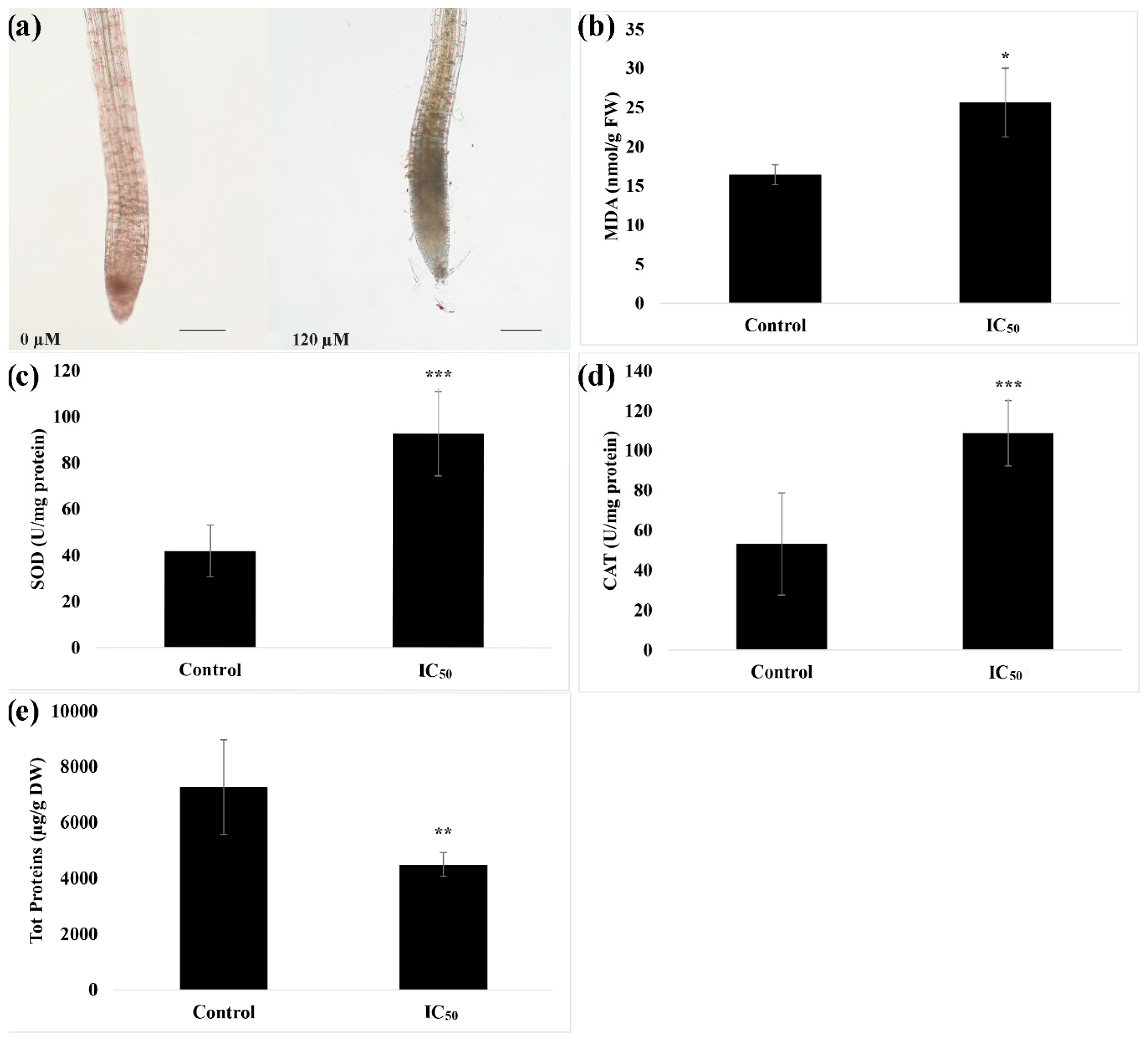 Plants 09 01347 g003