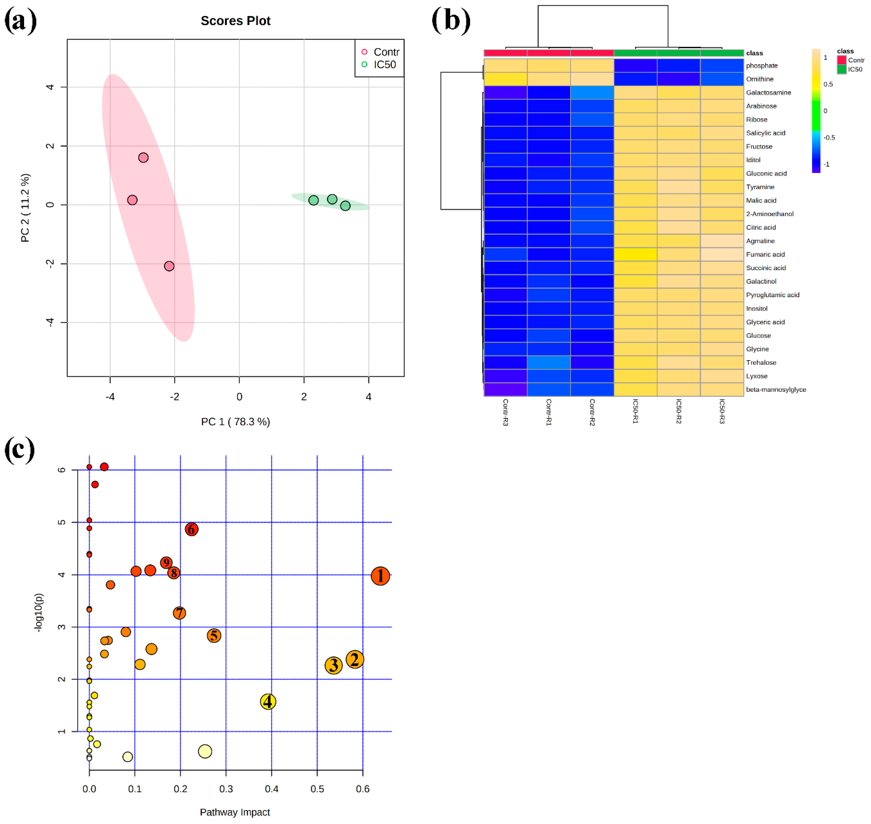 Plants 09 01347 g004