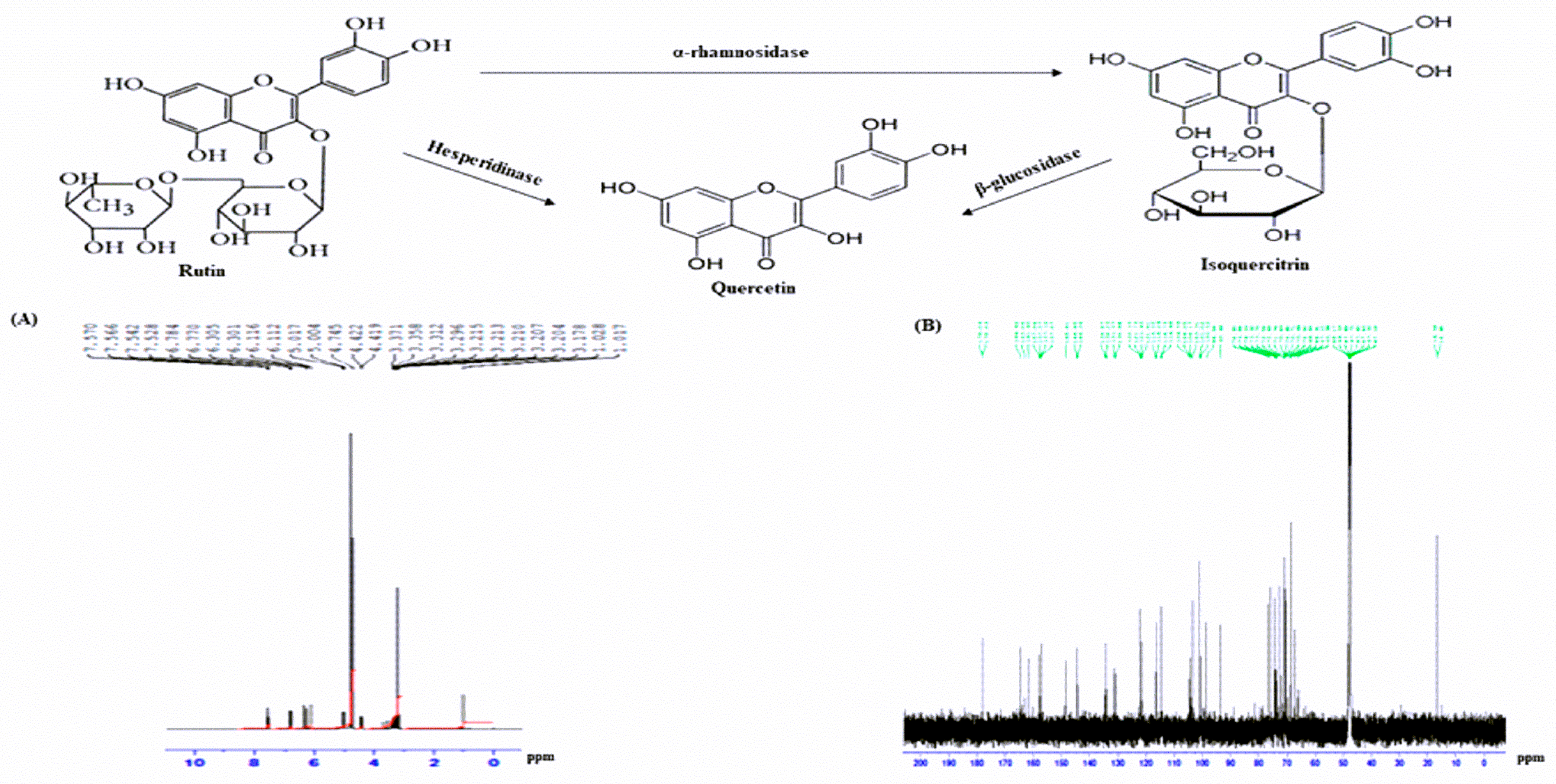 Plants 09 01348 g008