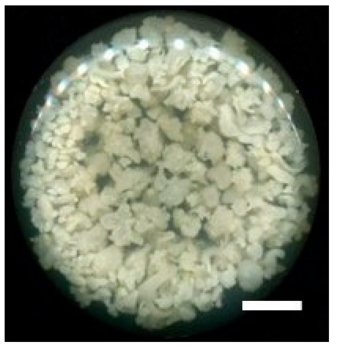 Plants 09 01351 g004 Plants 09 01351 g004