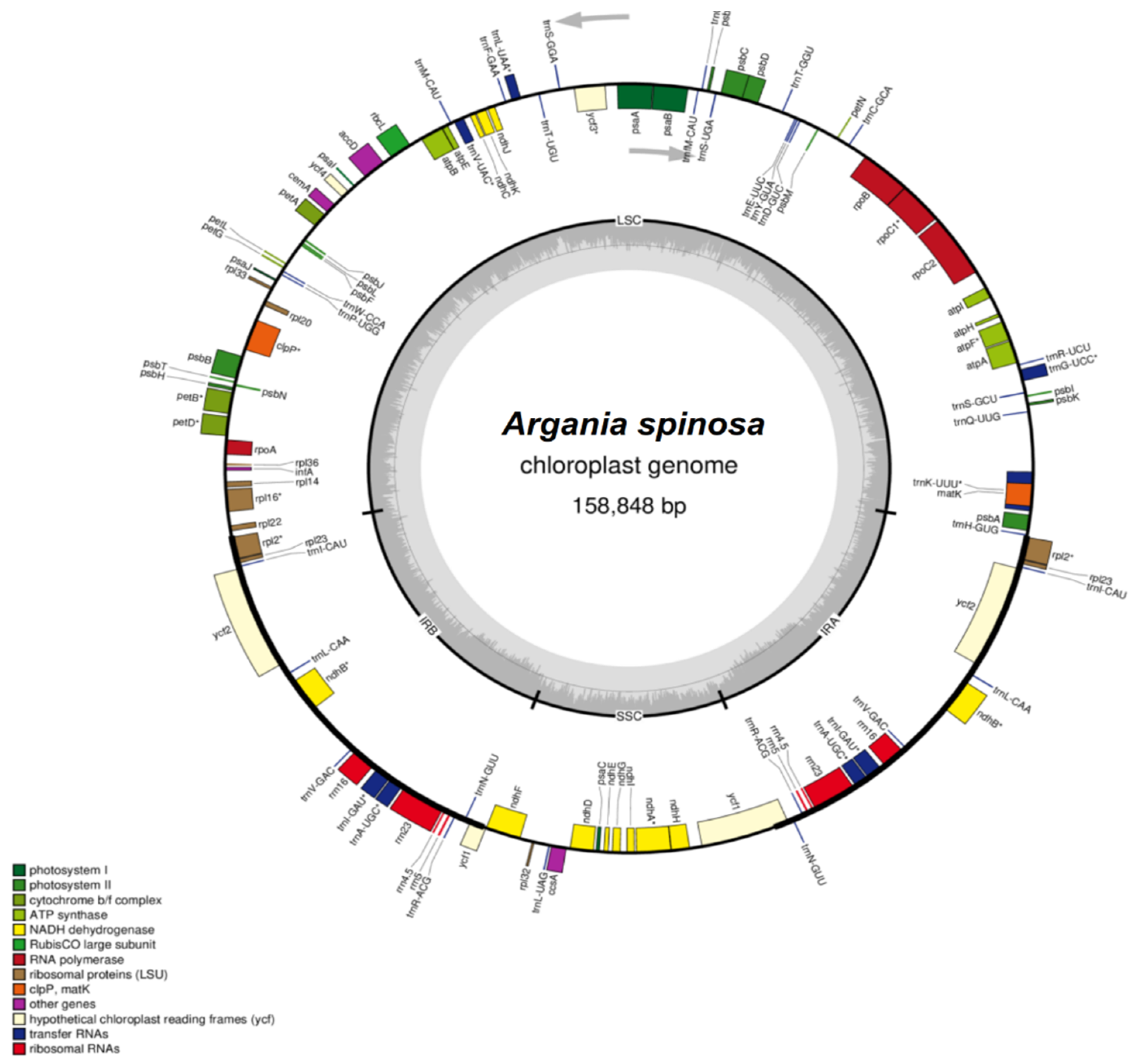Plants 09 01354 g001