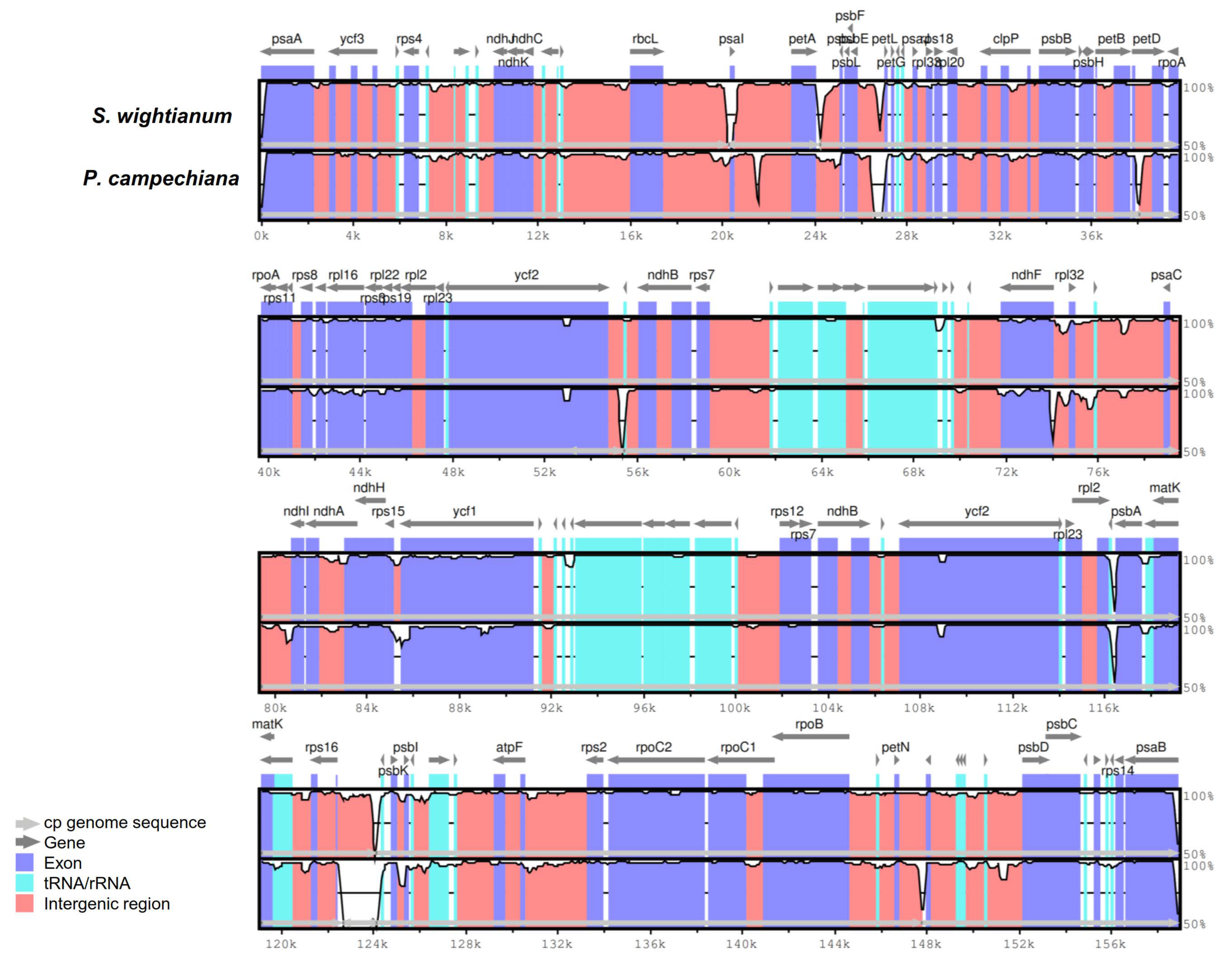 Plants 09 01354 g003