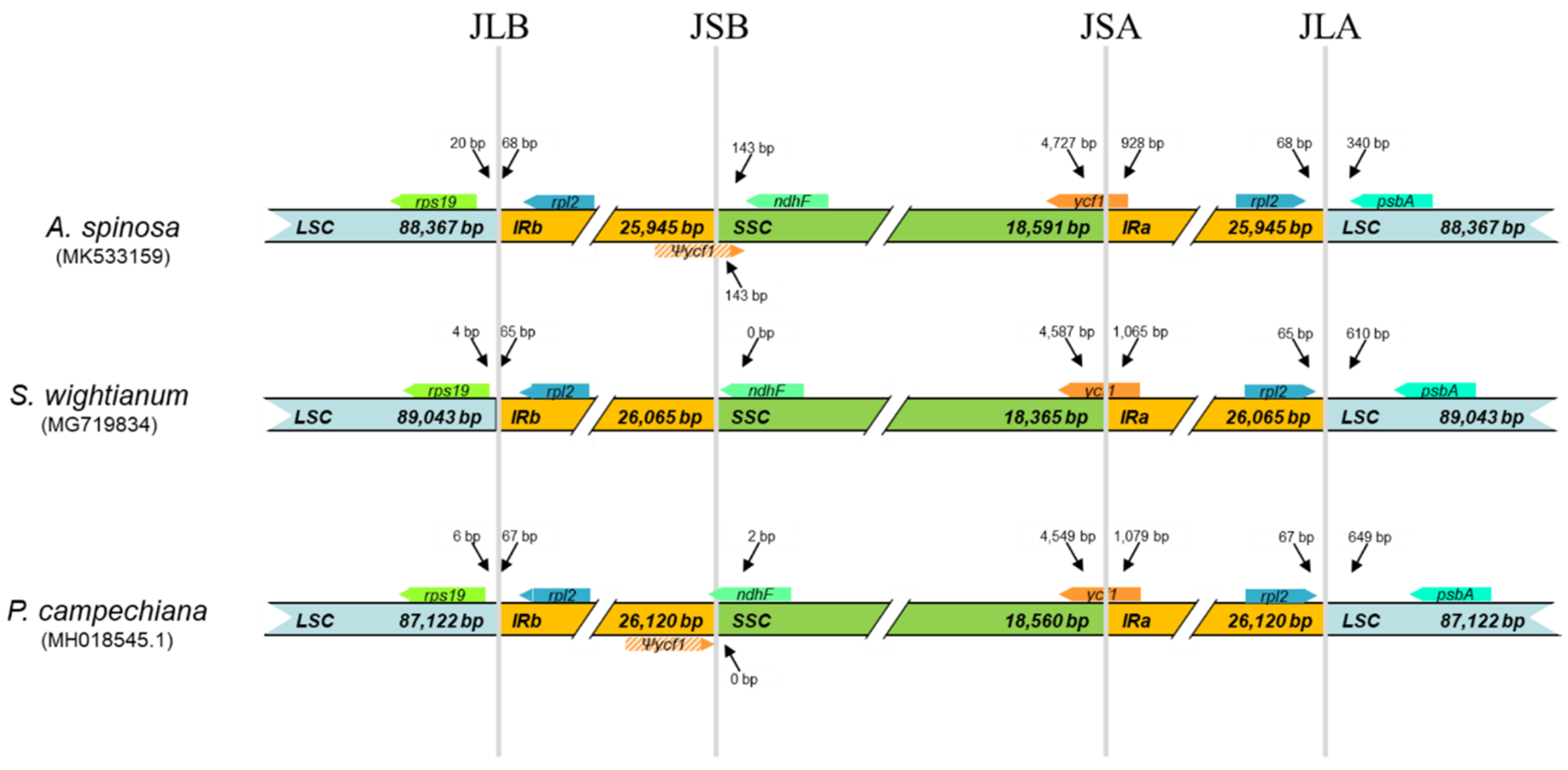 Plants 09 01354 g004