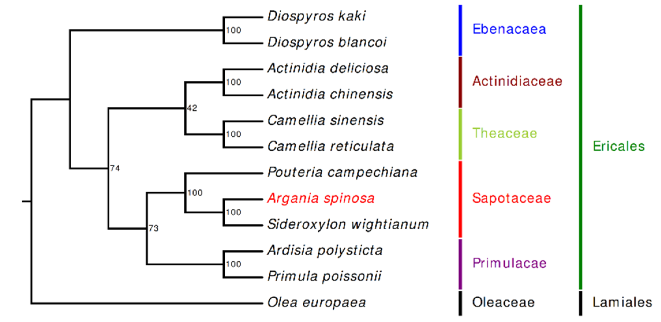 Plants 09 01354 g008