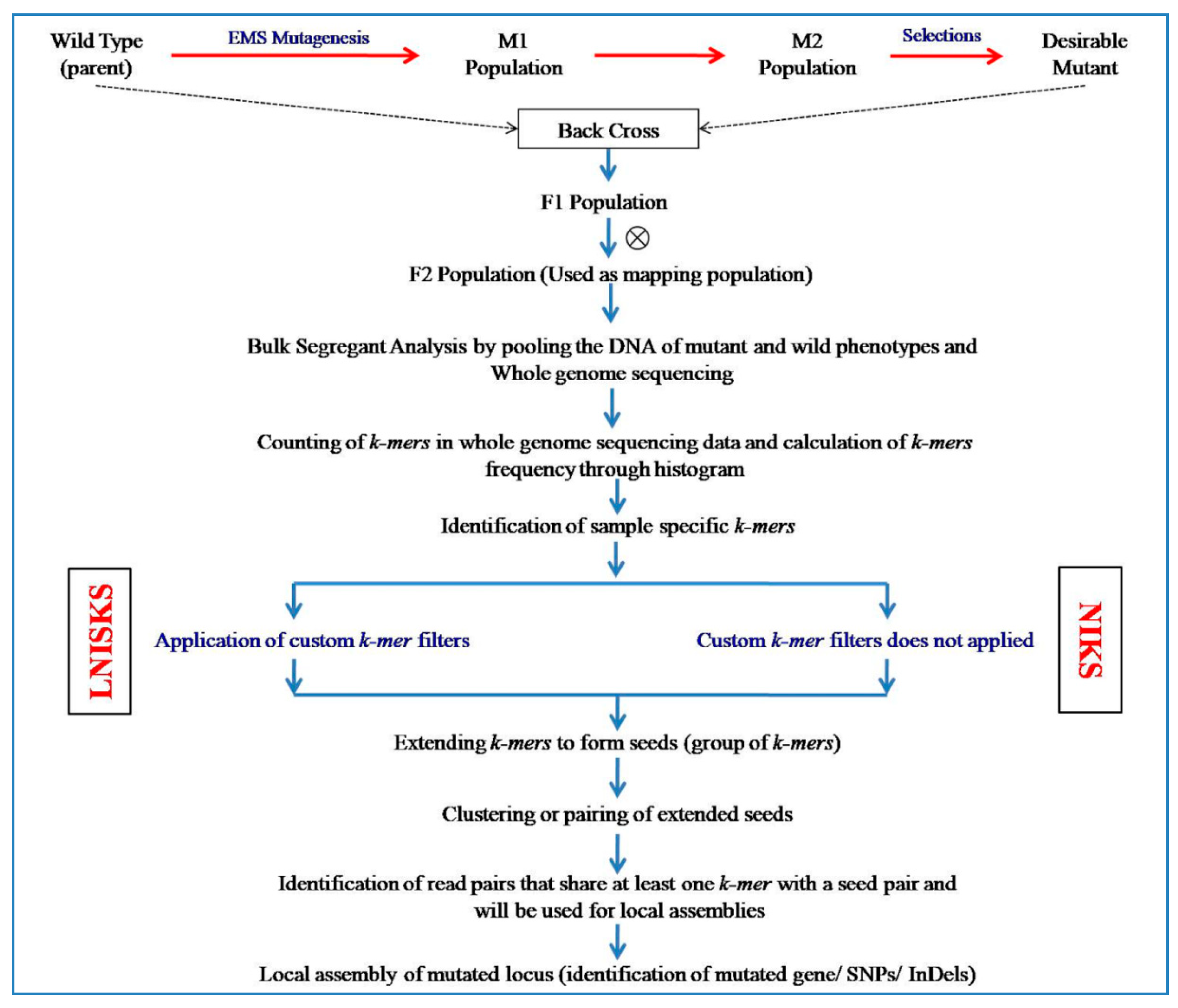 Plants 09 01355 g006