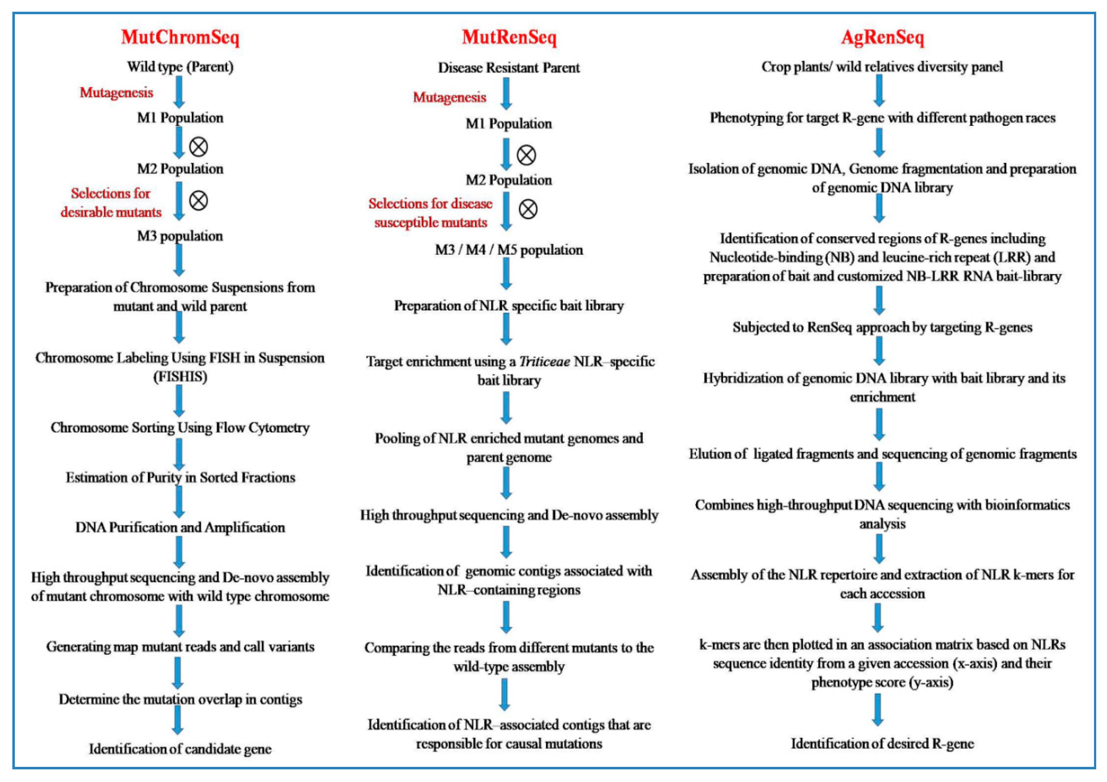Plants 09 01355 g007